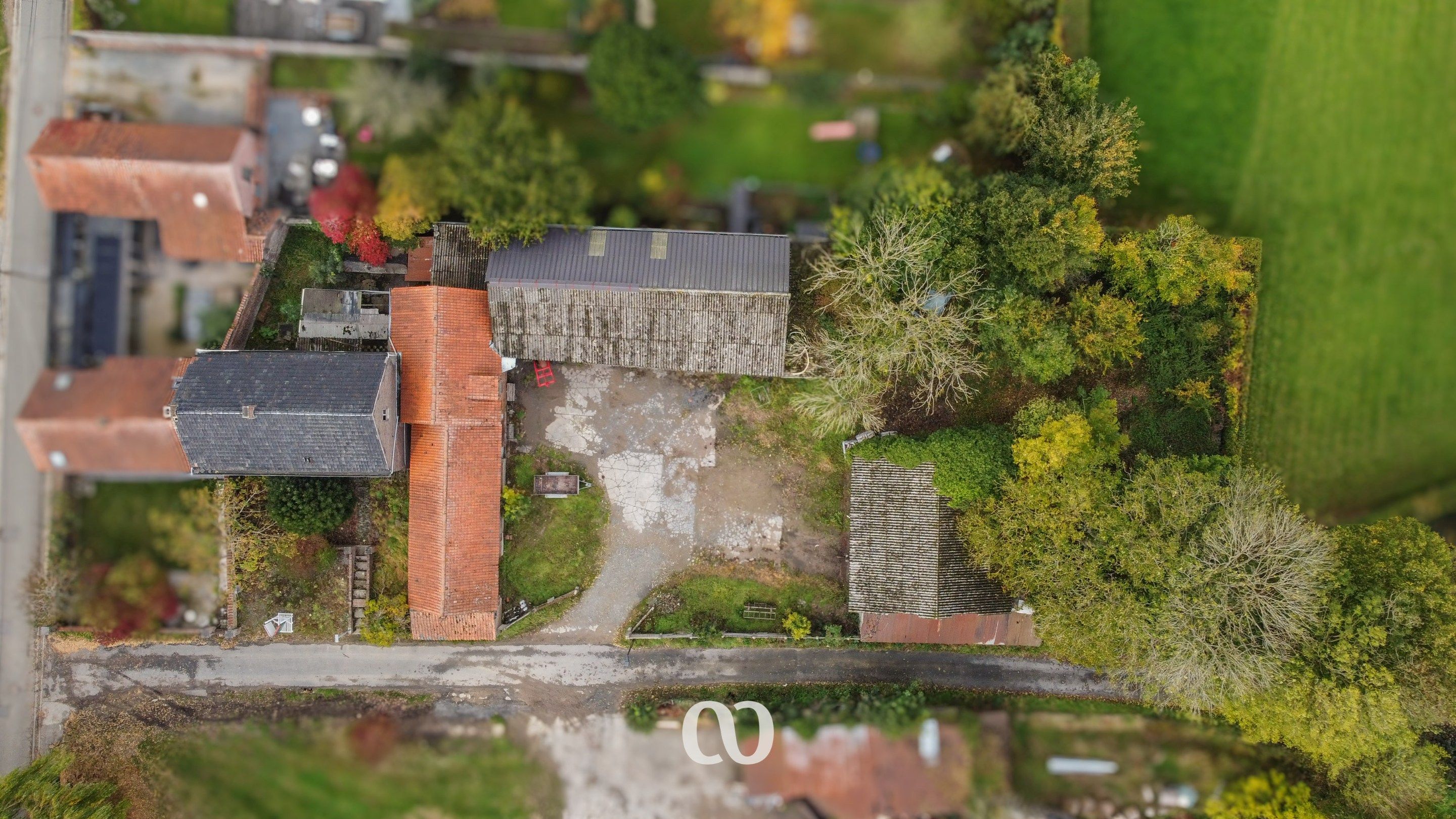 Pastorijwoning met tal van bijgebouwen foto 2