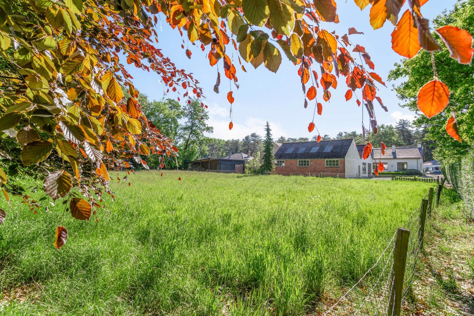 Instapklare Woning met Vergunde Loods en Kantoorruimte! foto 25