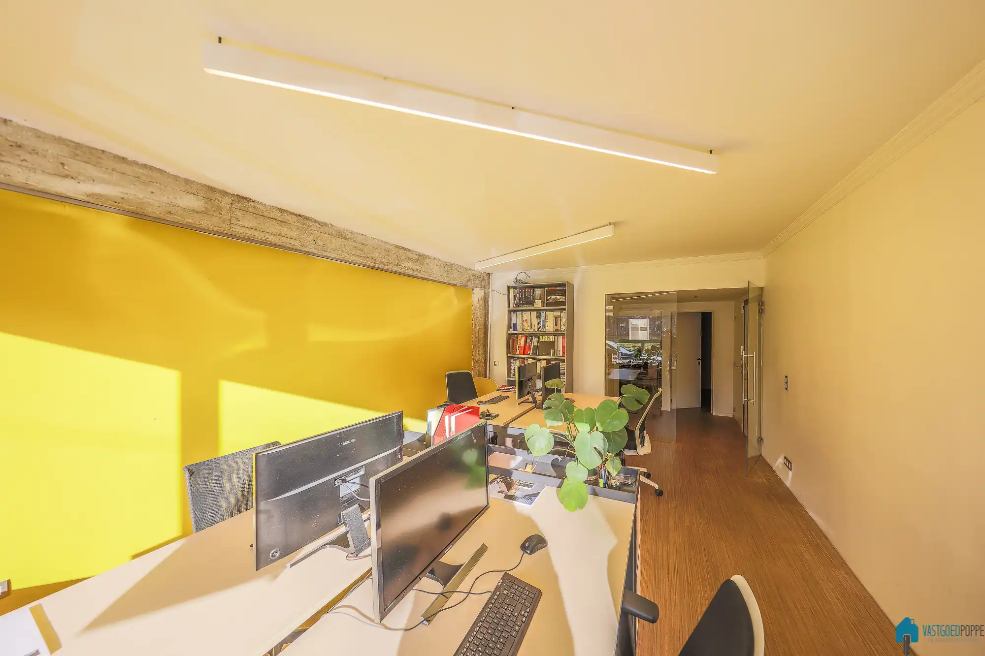 Gelijkvloers-appartement palend aan het Zuidpark foto 5