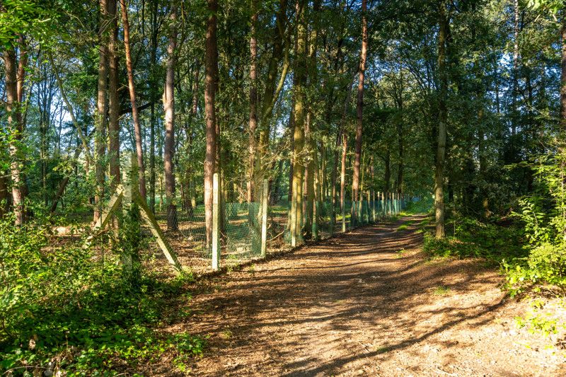 Uniek gelegen renovatieproject op 1,8 ha foto 18