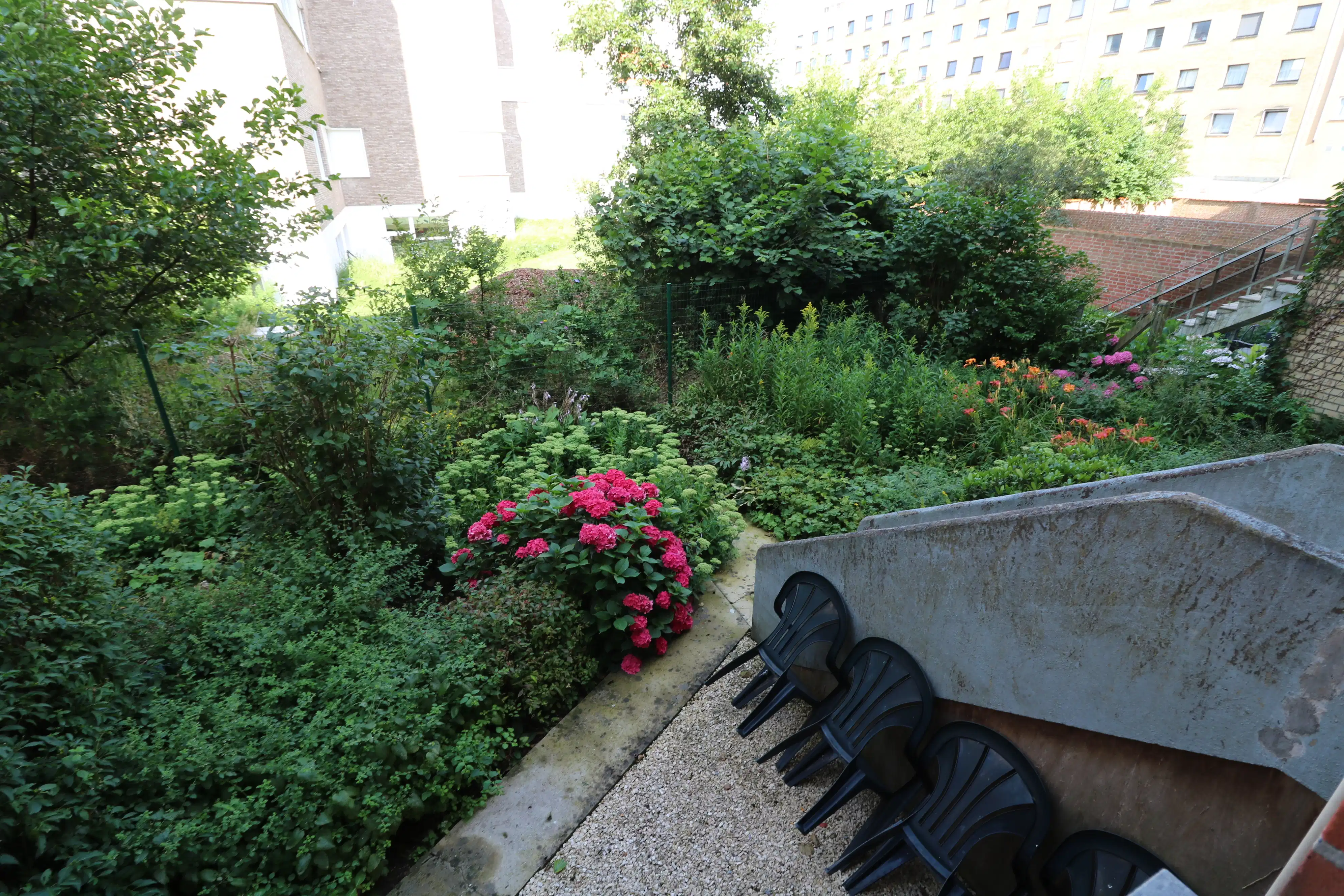 Studio op het gelijkvloers, vlak bij het strand en de Pier van Blankenberge  foto 8