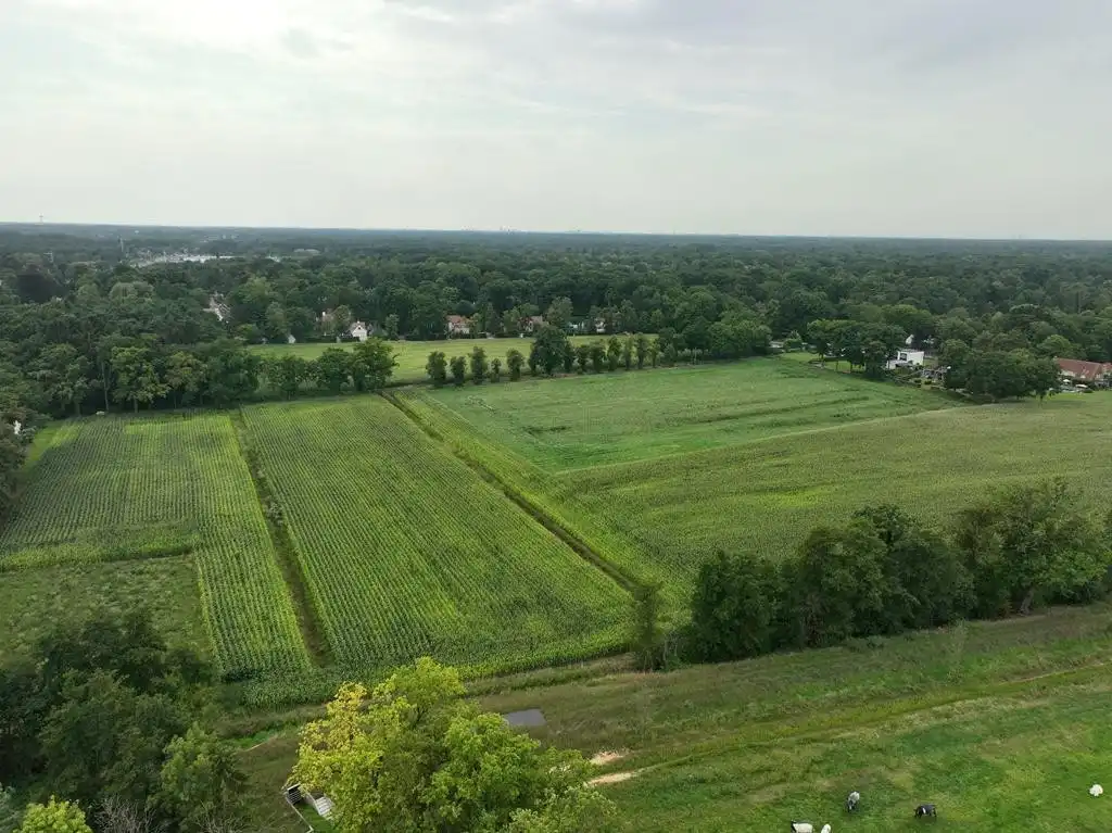 5 hectare landbouwgrond te Zoersel (Sint-Antonius) foto 2