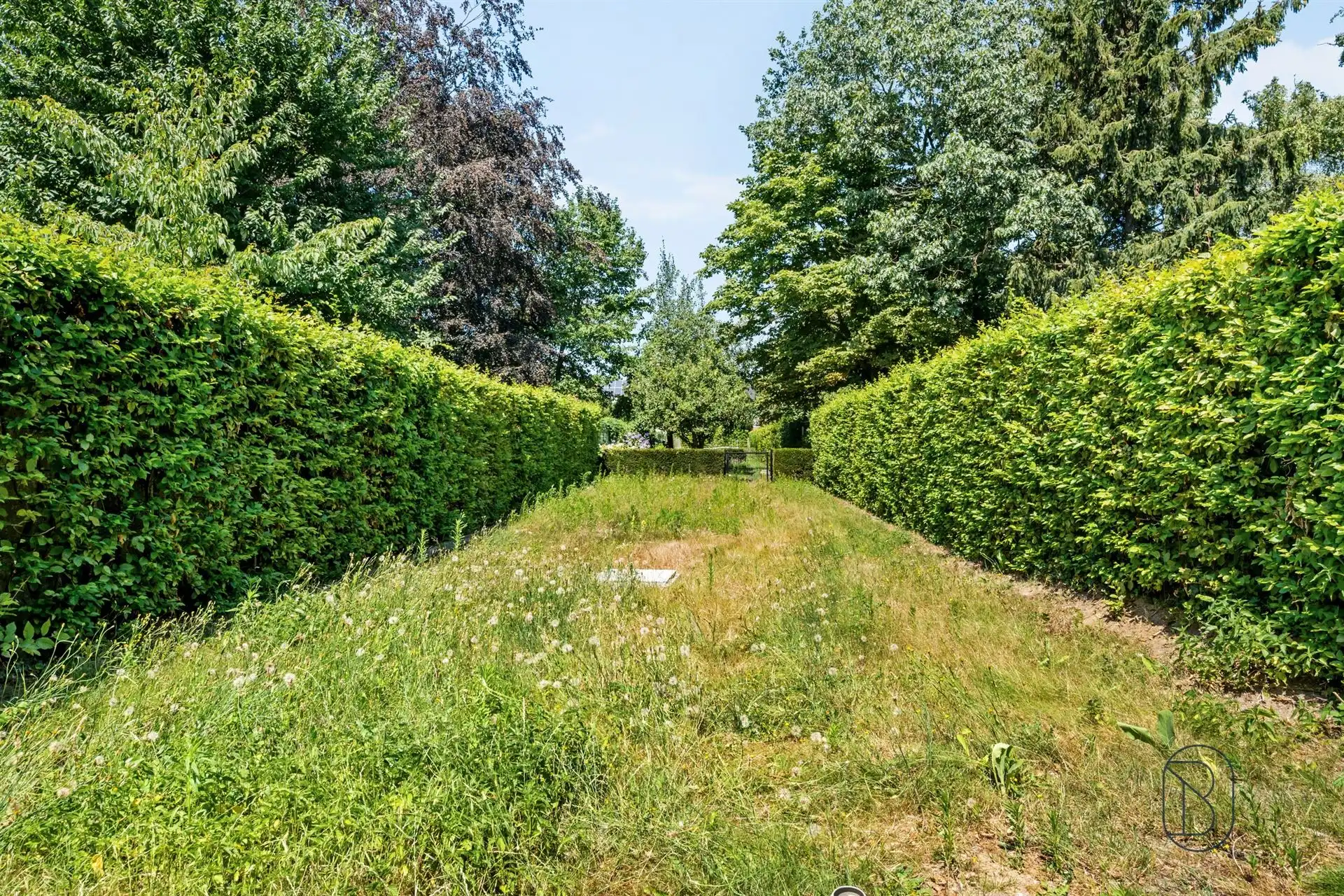 Ruime gezinswoning met 4 slpk, garage en zonnige tuin foto 6