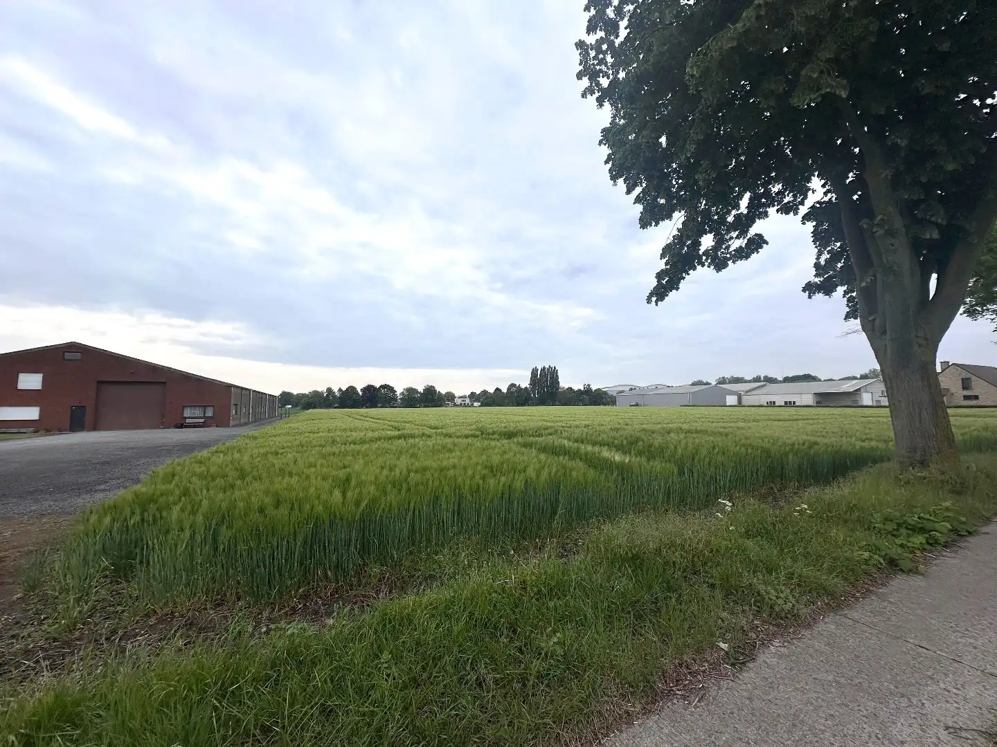 Grond te koop Perksesteenweg - zn 51 - - 1820 Melsbroek