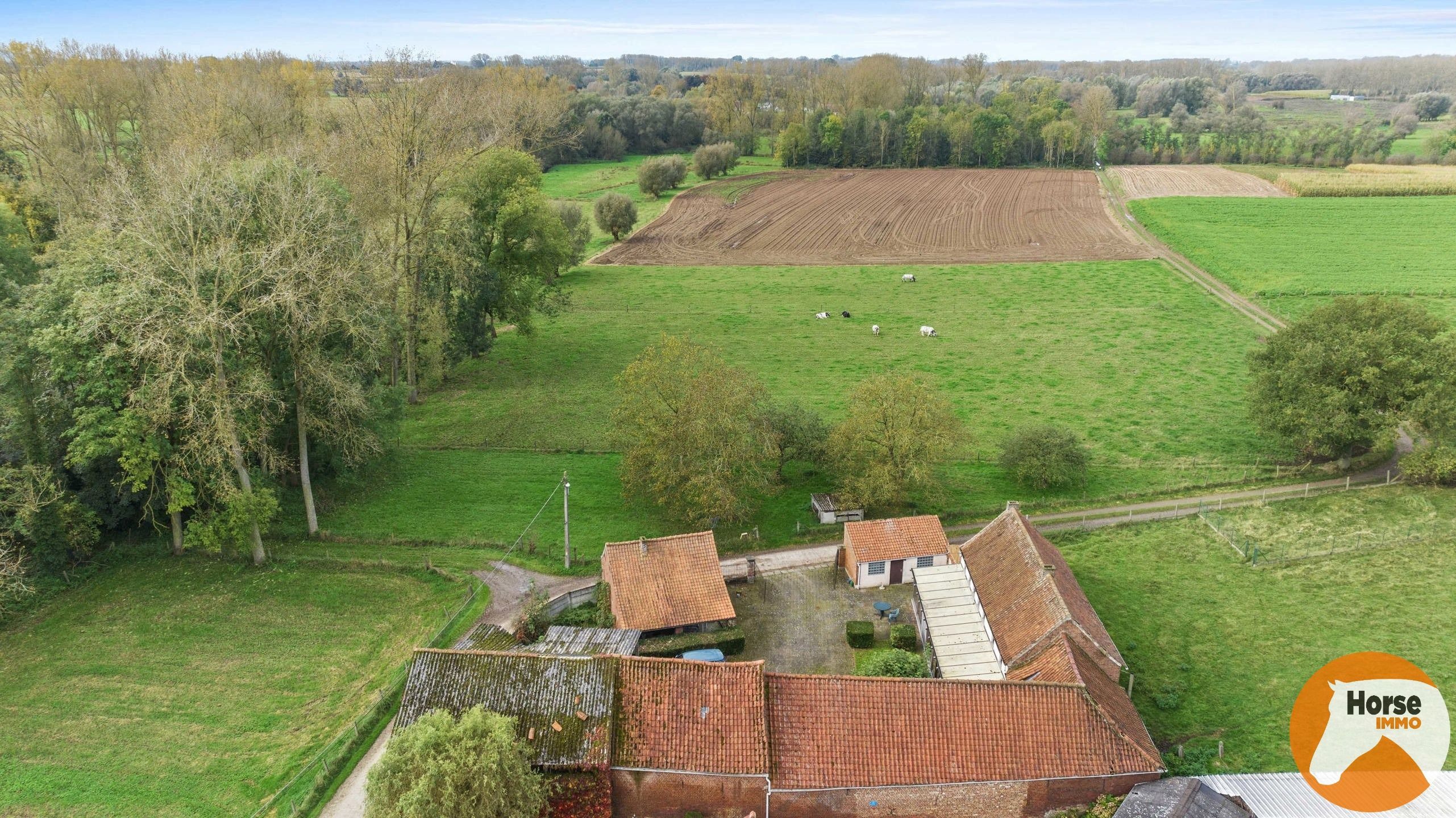 ASPELARE - Uniek gelegen hoeve op +/-55are foto 3