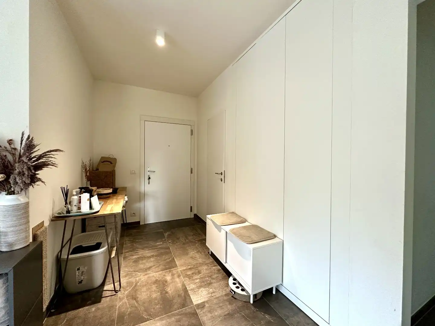 Modern penthouse met drie slaapkamers, groot terras en zicht op het groen  foto 3