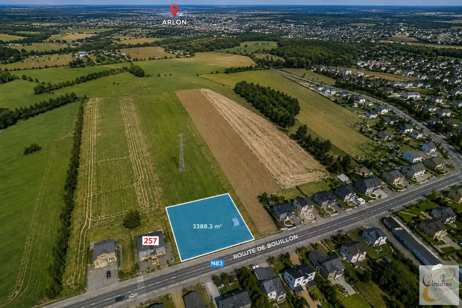 HEINSCH (ARLON) – PROJECTGROND CA. 3.388 M² MET RESIDENTIEEL ONTWIKKELINGSPOTENTIEEL foto {{pictureIndex}}
