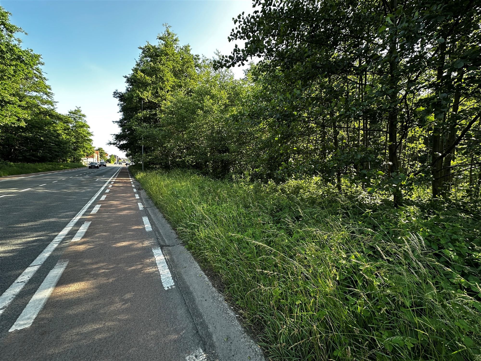 PERCEEL BOUWGROND OP UITERST COMMERCIËLE LOCATIE LANGS DE KOOLMIJNLAAN TE BERINGEN foto 7