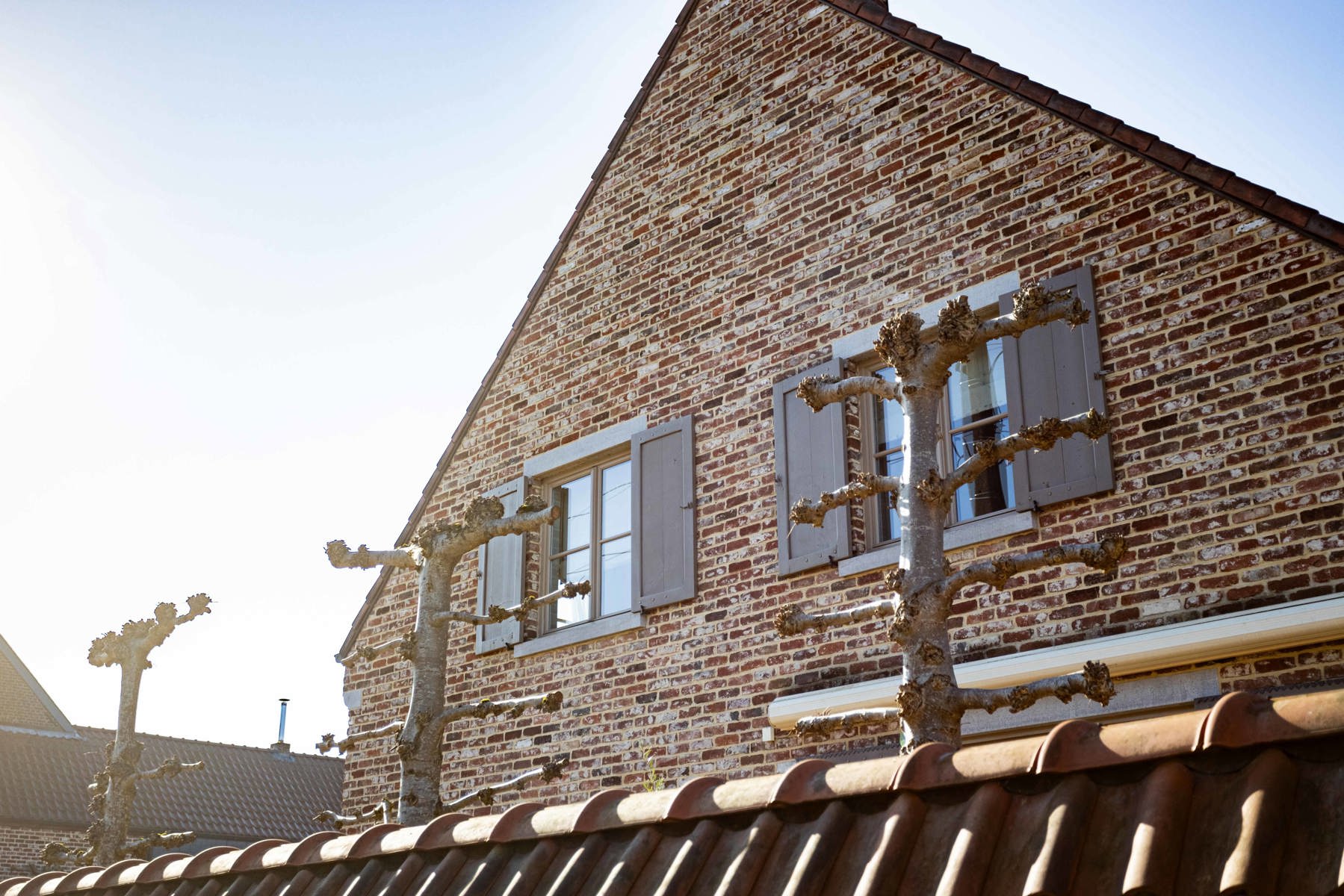 Project "Hoeve" met twee woonentiteiten + weiland foto 7