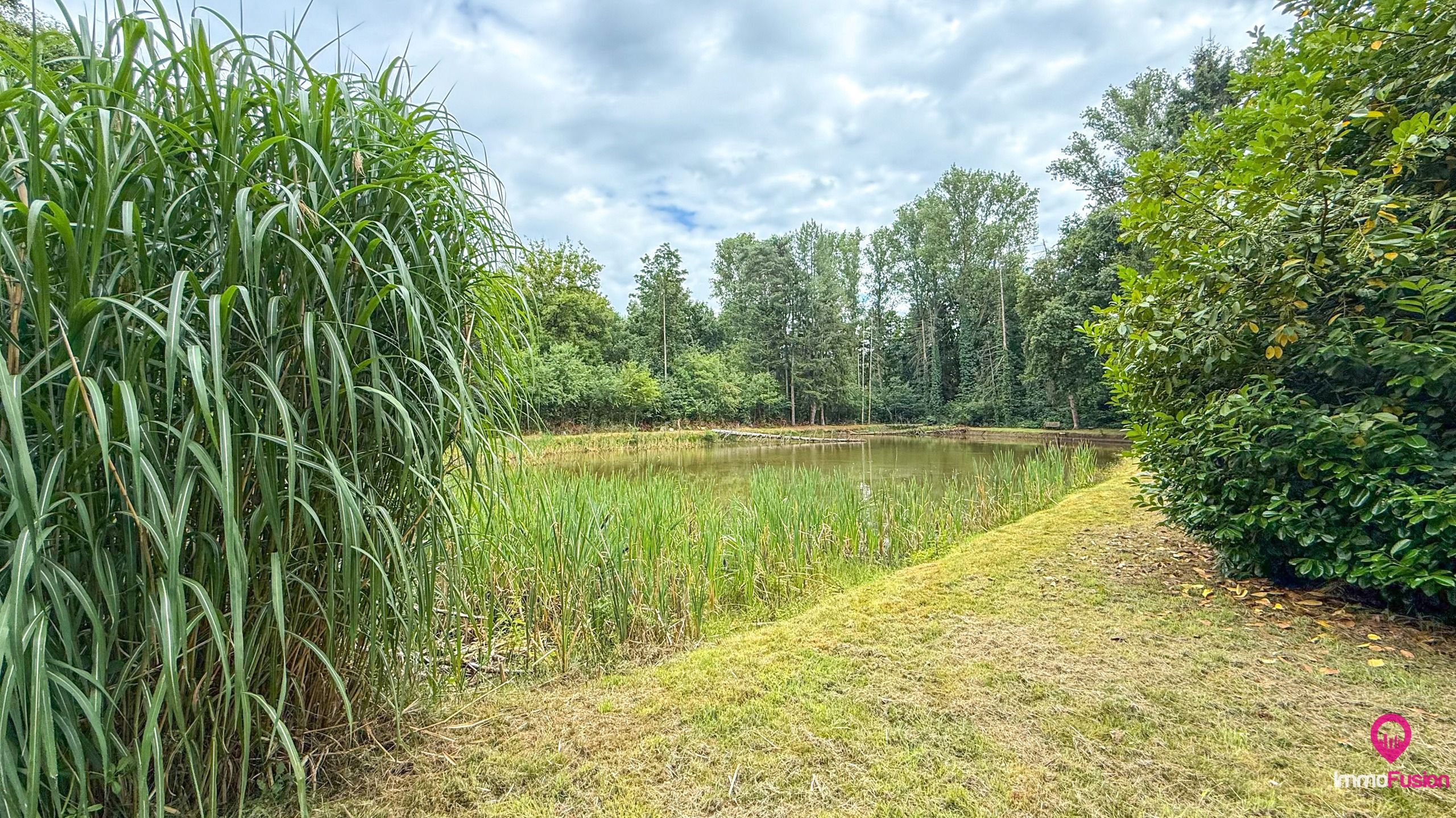 Droom buitenverblijf in Hasselt voor natuurliefhebbers!  foto 31