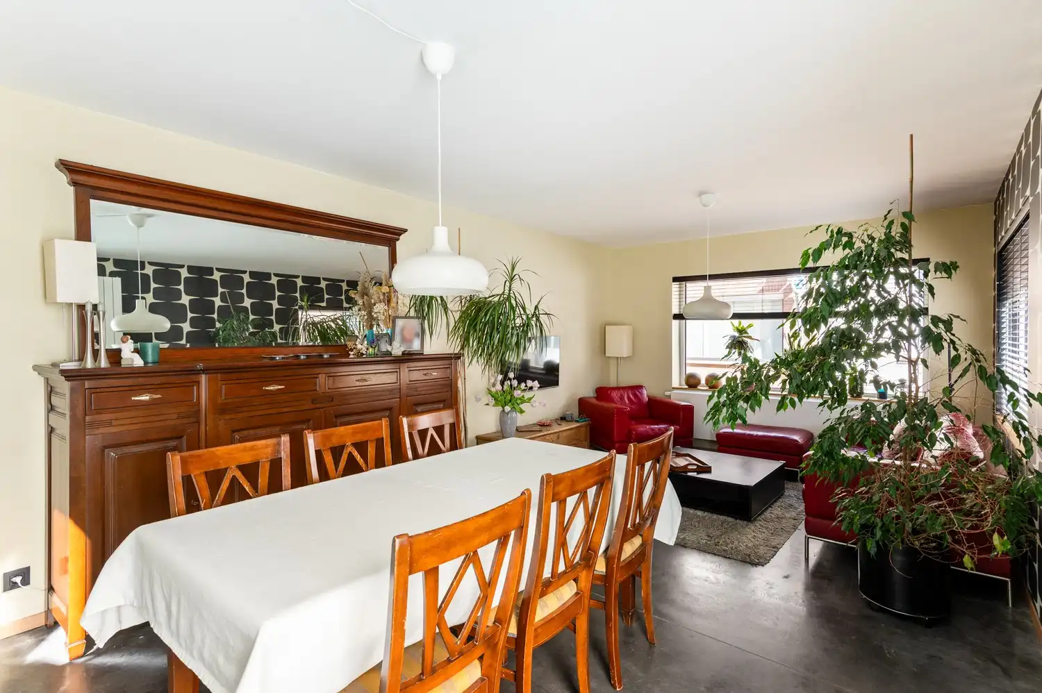 Gerenoveerde woning met 3 slaapkamers en terras te Lier foto 5