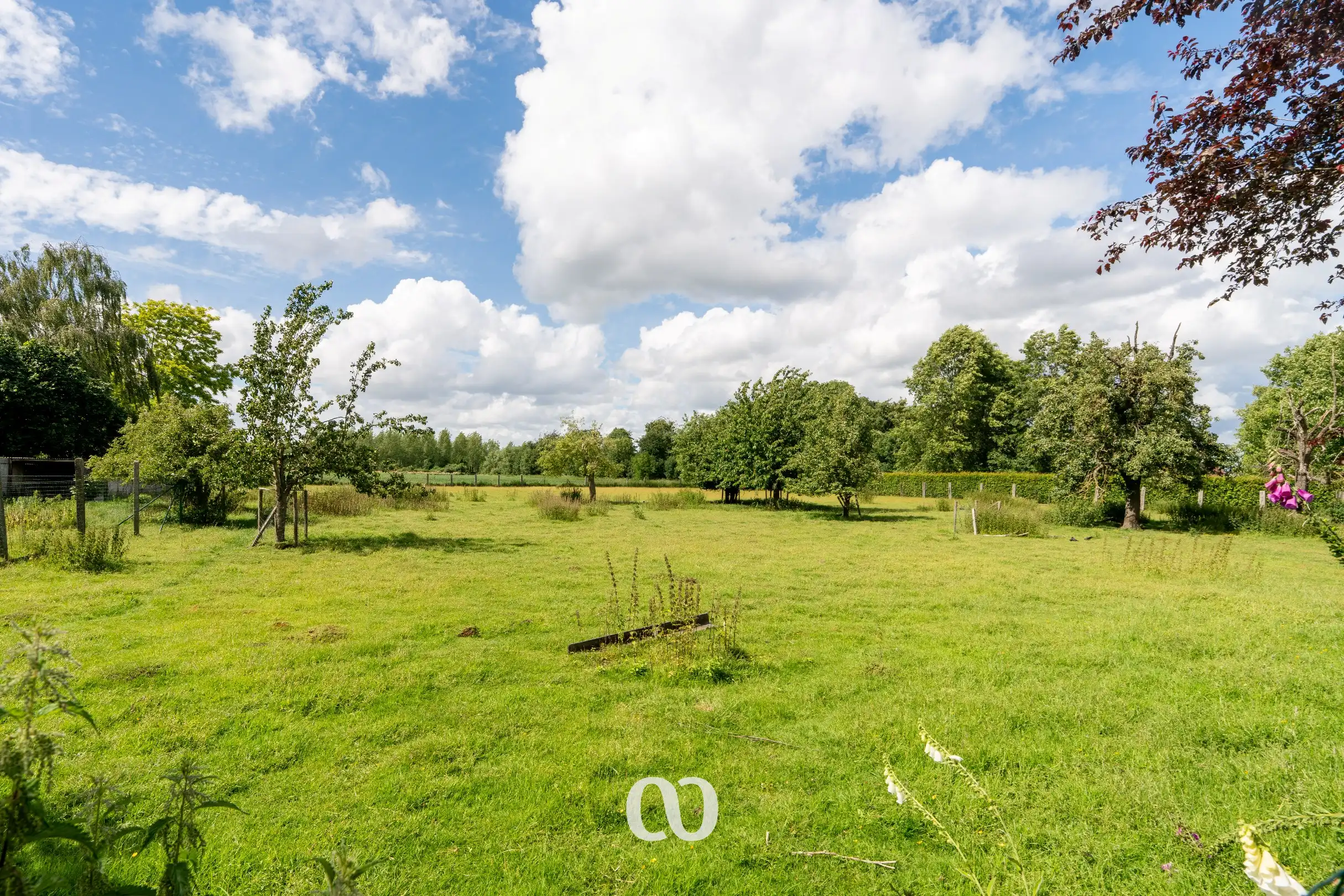 Ruime woning op meer dan 6.500 m² in Avelgem foto 31