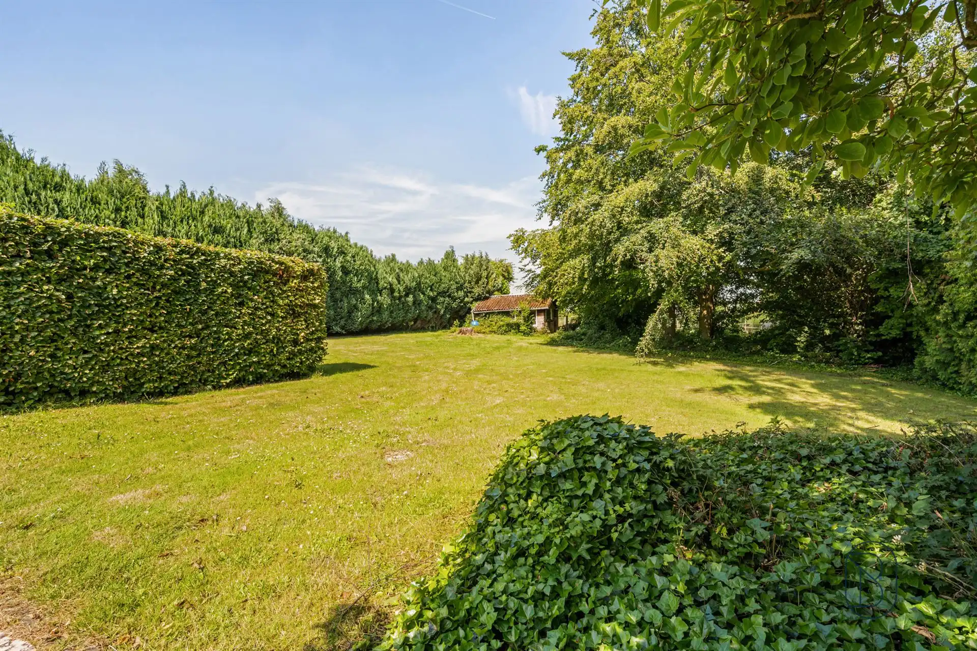 Karaktervolle woning in Anzegem foto 7