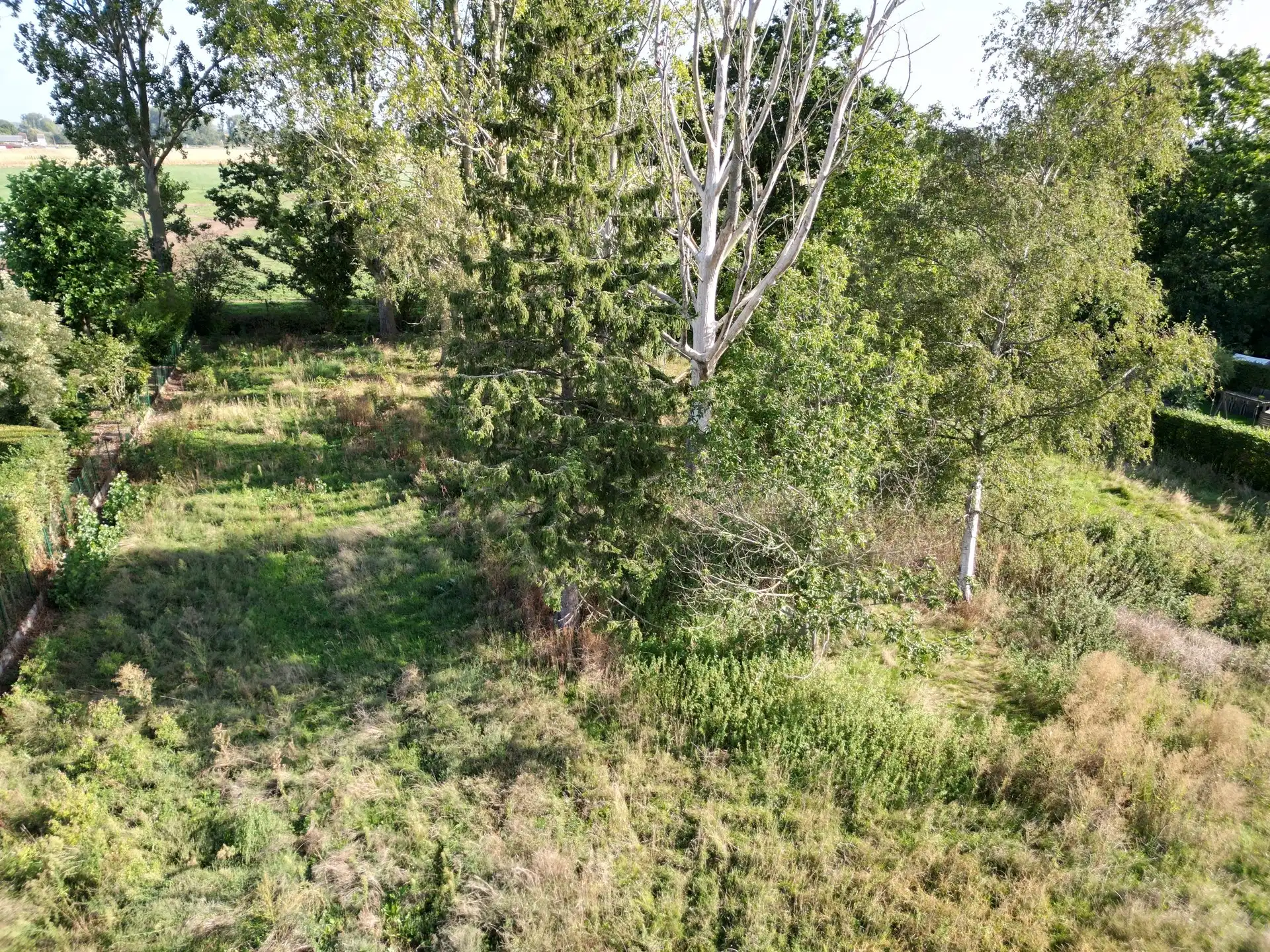 Ruime bouwgrond van 751 m² op rustige ligging in Lede (LOT 3) foto 16