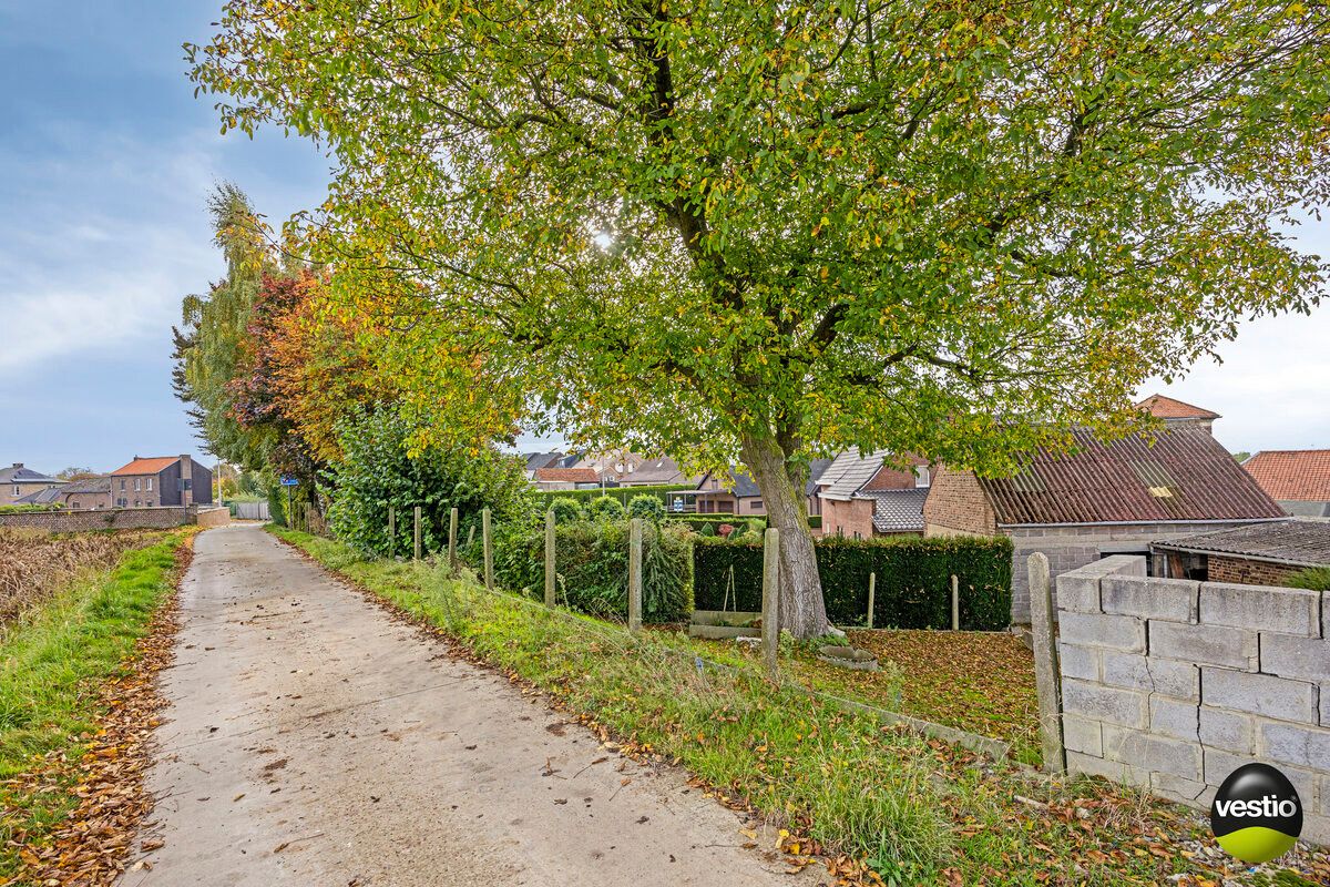 BOUWPERCEEL VAN 6A52CA VOOR OB TE BOMMERSHOVEN. foto 11