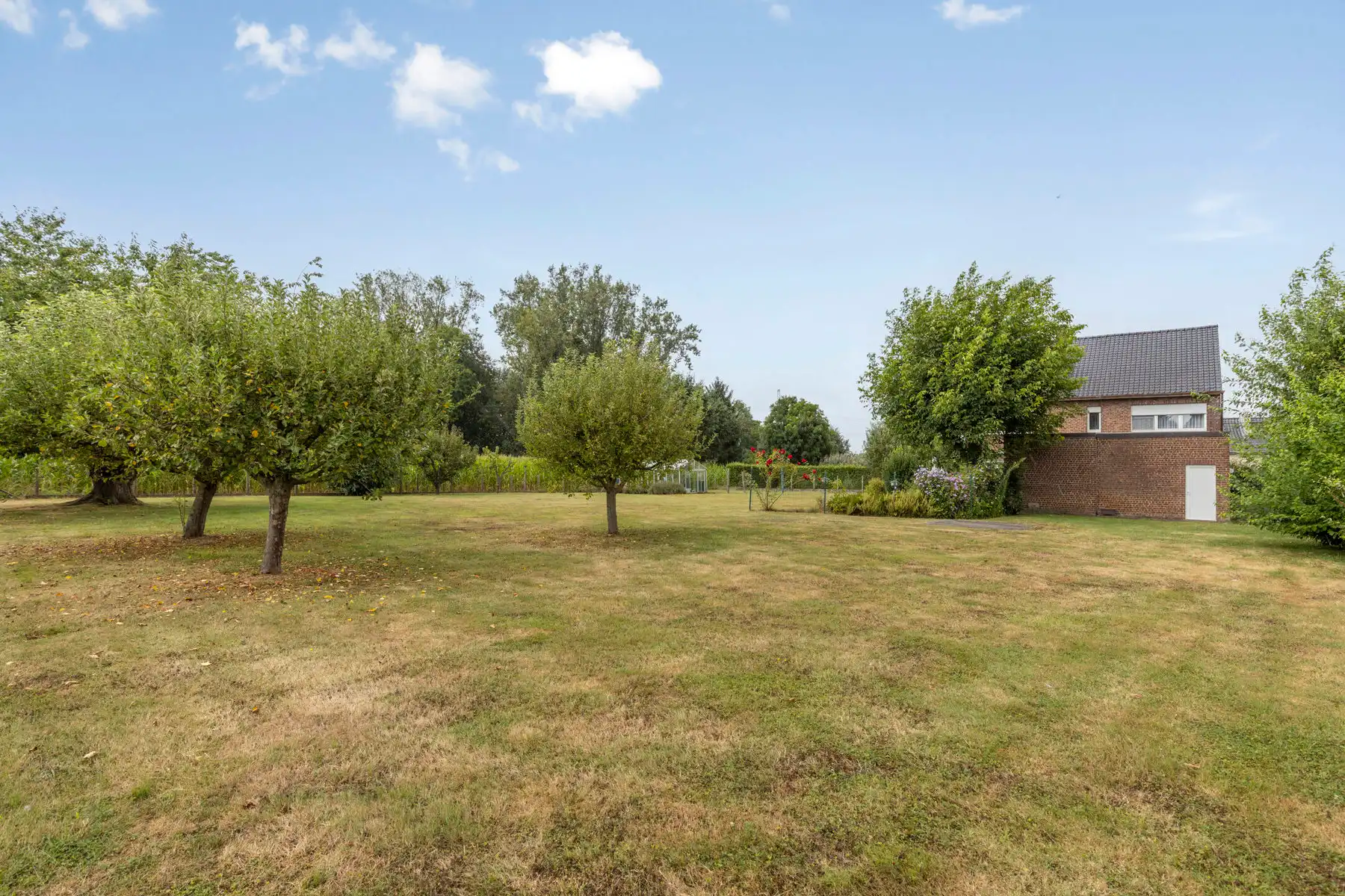 Landelijk gelegen huis met 4 kamers, garage & prachtige tuin foto 5