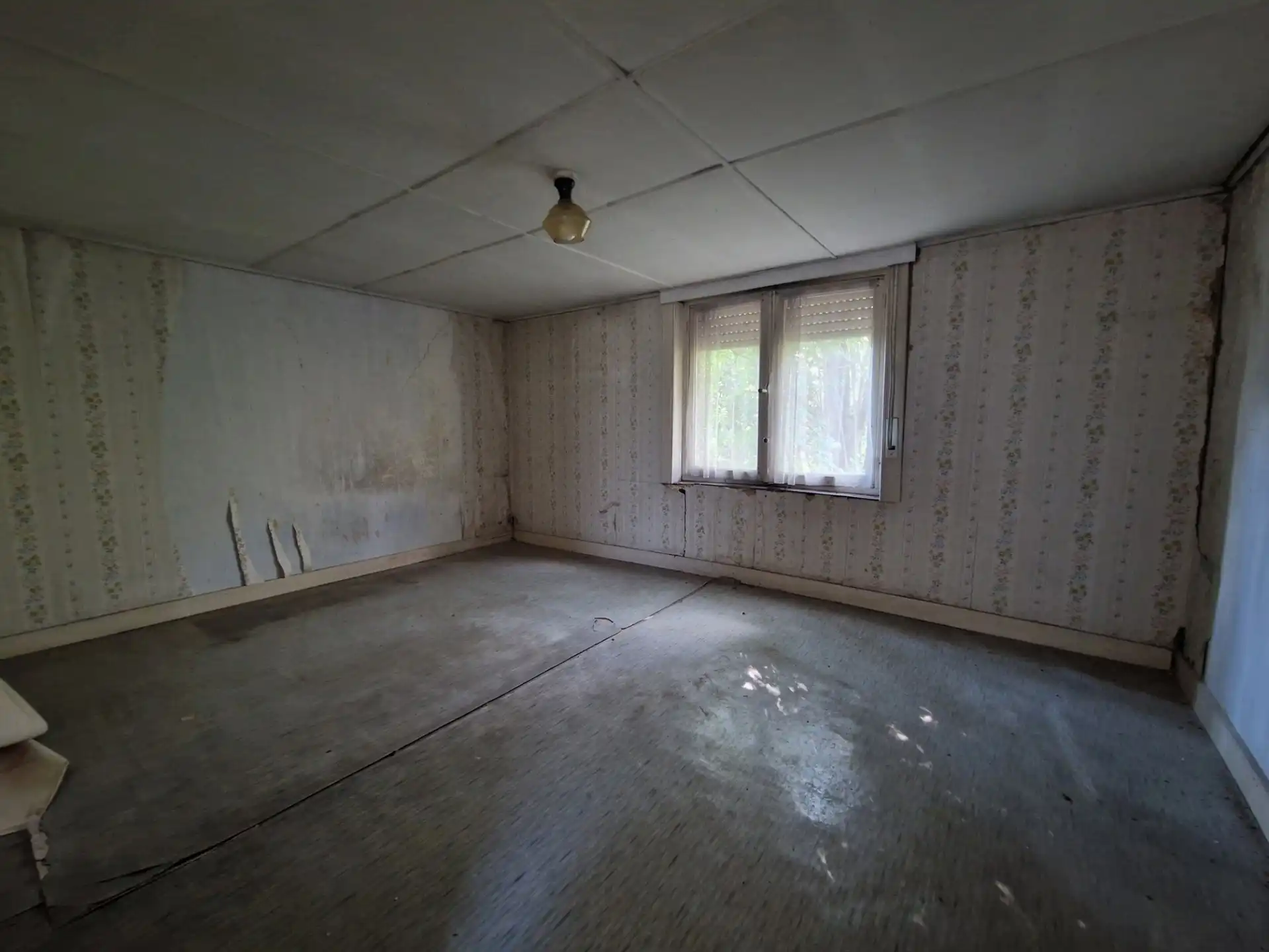 Ruime woning met veel potentieel te Werchter foto 5