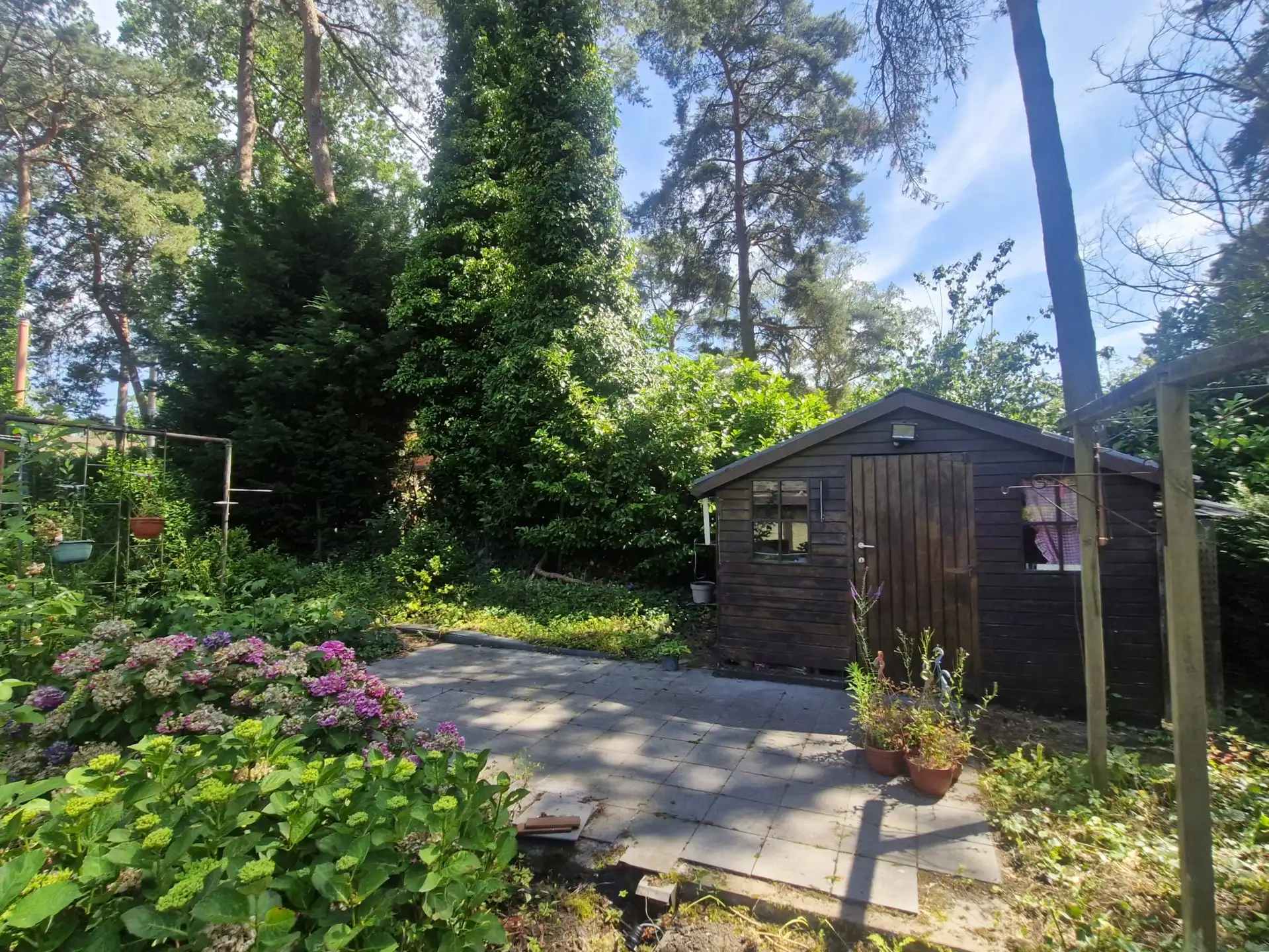 Huis te koop foto 3
