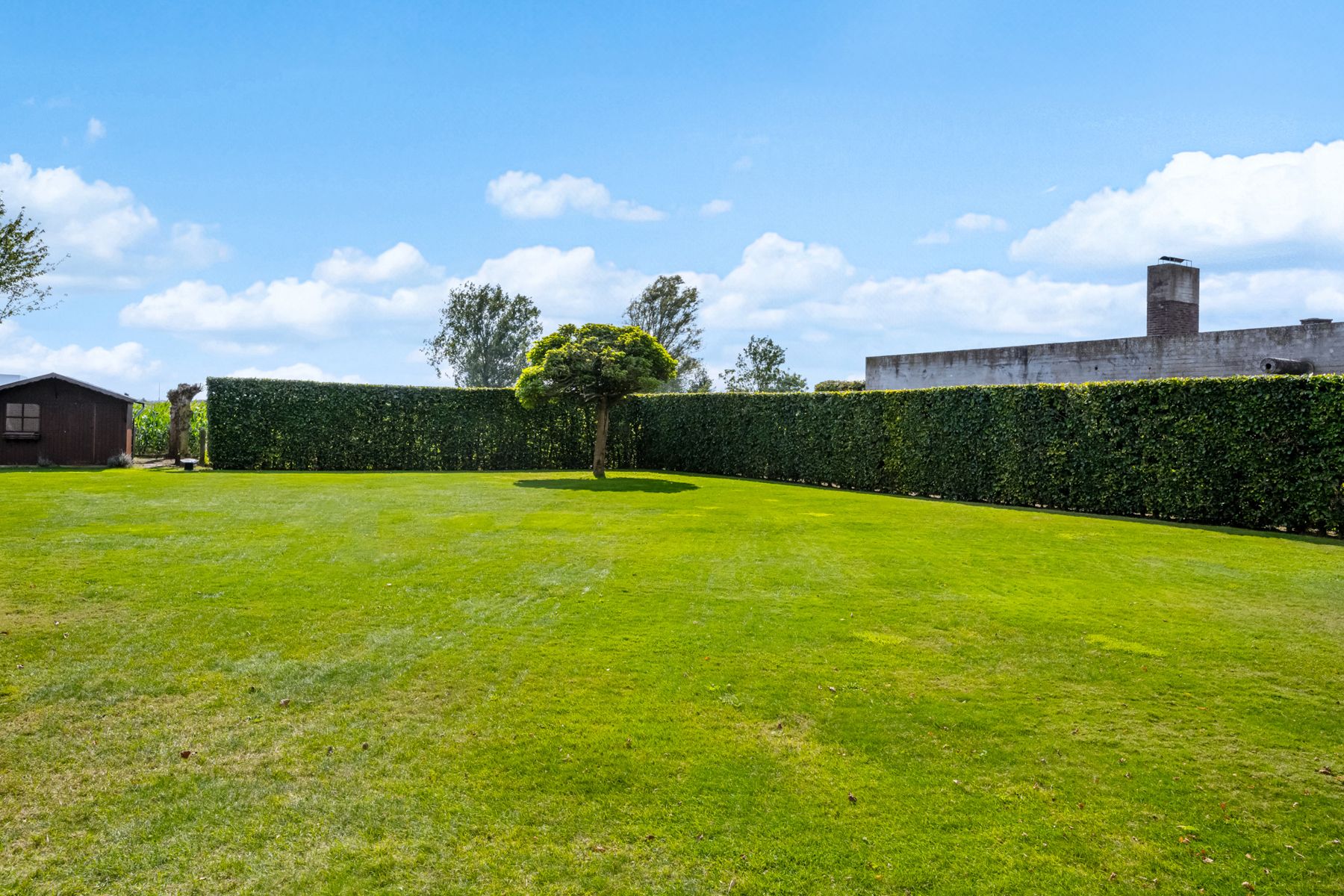 Ruime woning met extra bouwgrond/ideaal voor kangoeroewonen foto 19
