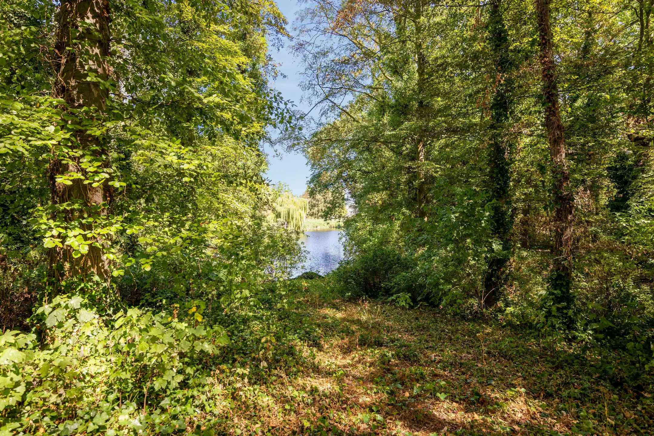 Majestueus wonen Kasteel Stoffelt te Watervliet foto 39