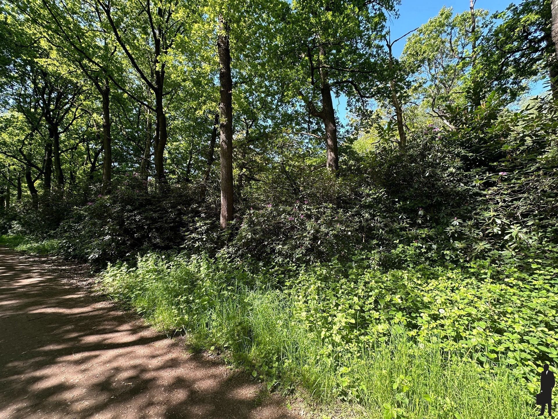 Perceel bosgrond in de prachtige Rode Dreef te Gooreind foto 7