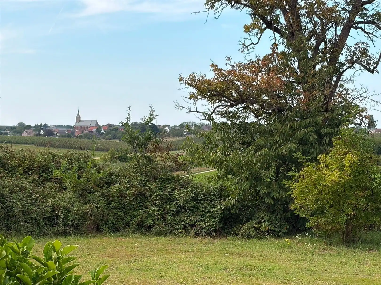 Karaktervolle hoeve met eindeloze mogelijkheden in het groen. foto 27
