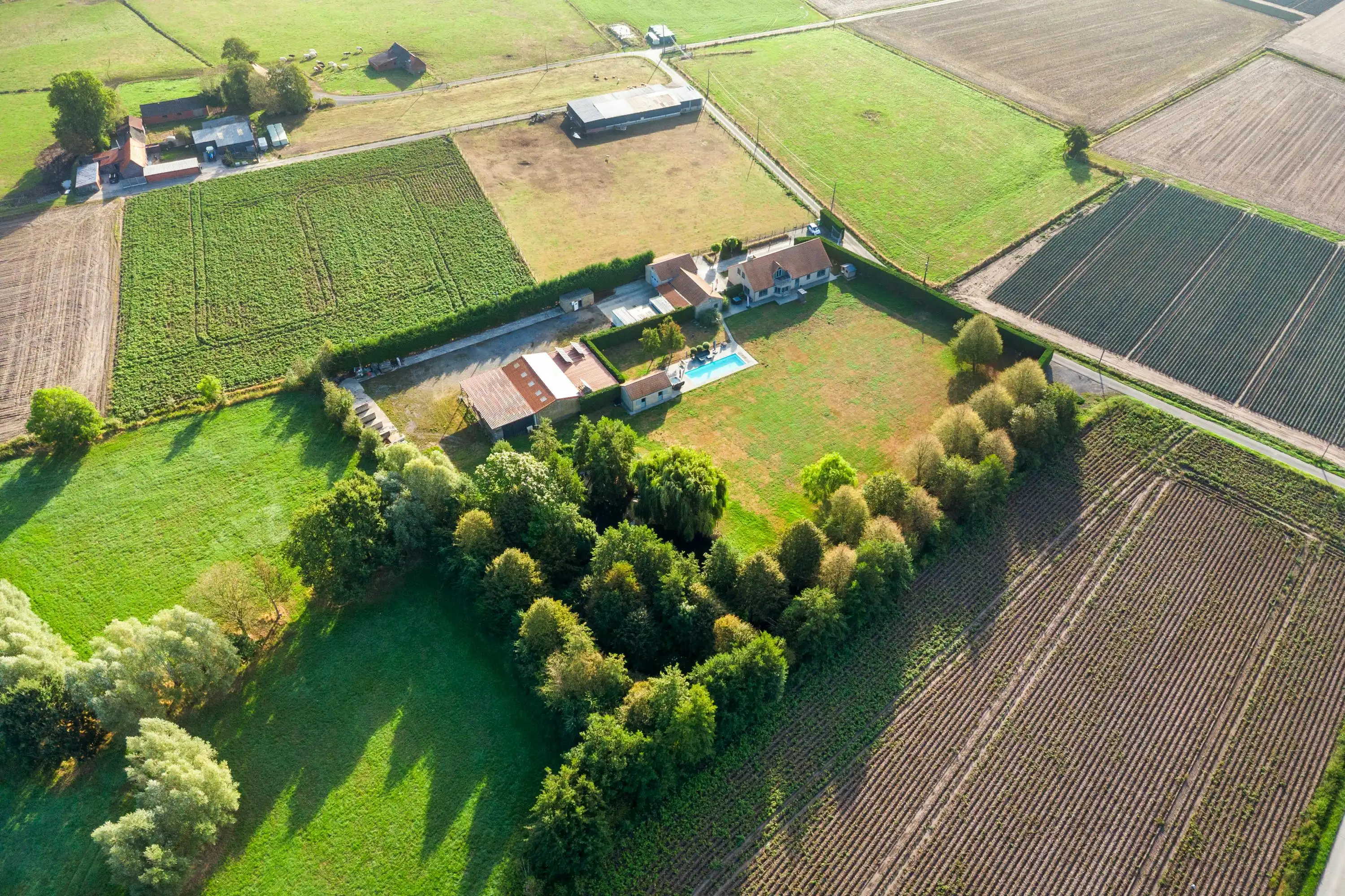 Huis met magazijn op een rustige locatie in Zwevezele foto 25