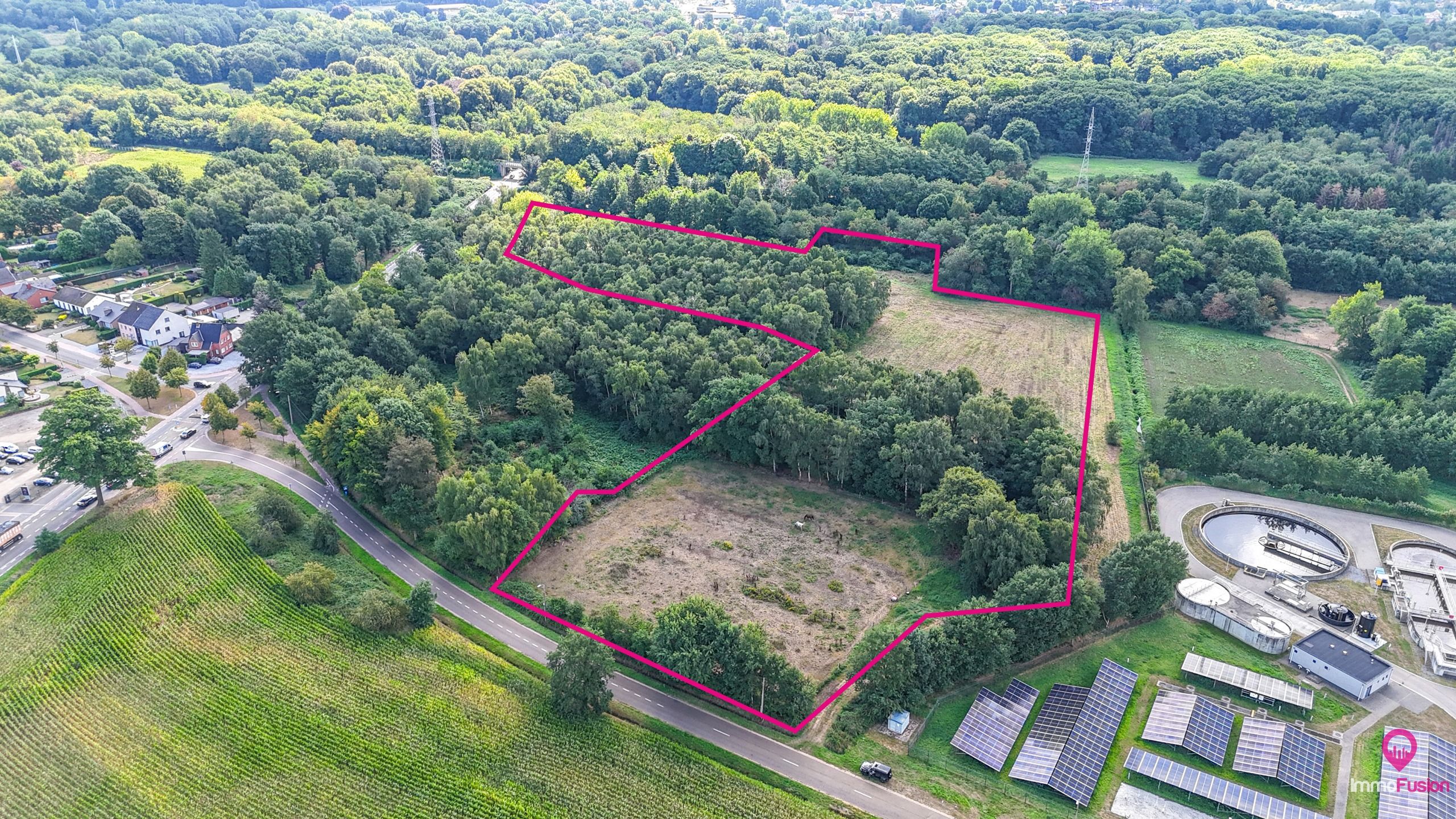 Prachtige weide voor paarden van meer dan 3ha te Heusden! foto 5