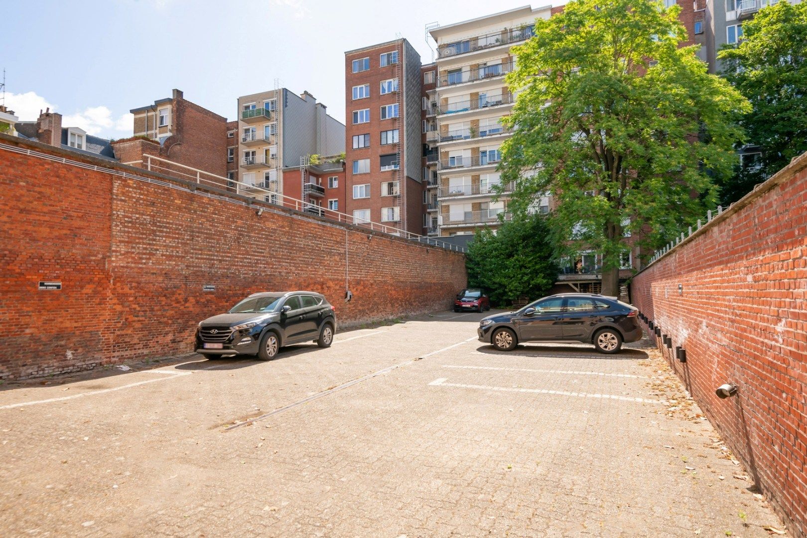 Frankrijklei 103 foto 12