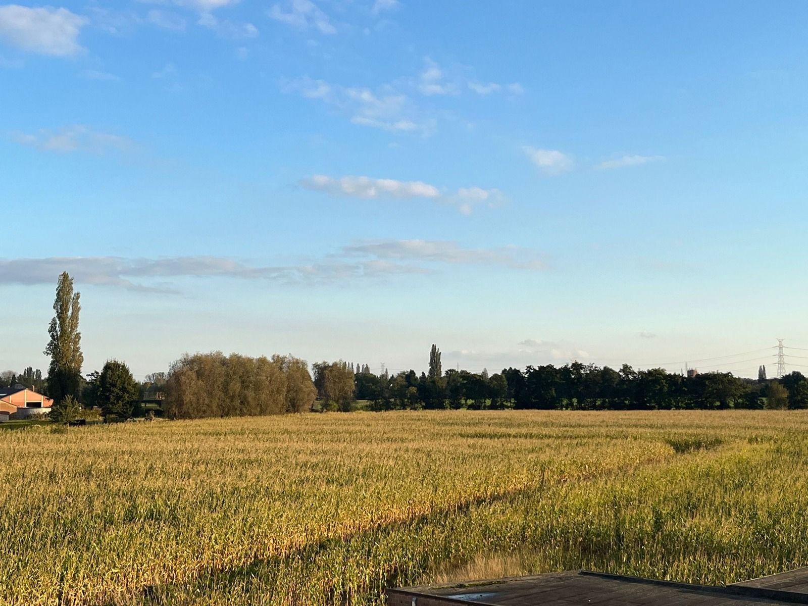 Vernieuwd appartement met uniek open groen zicht achteraan foto 7