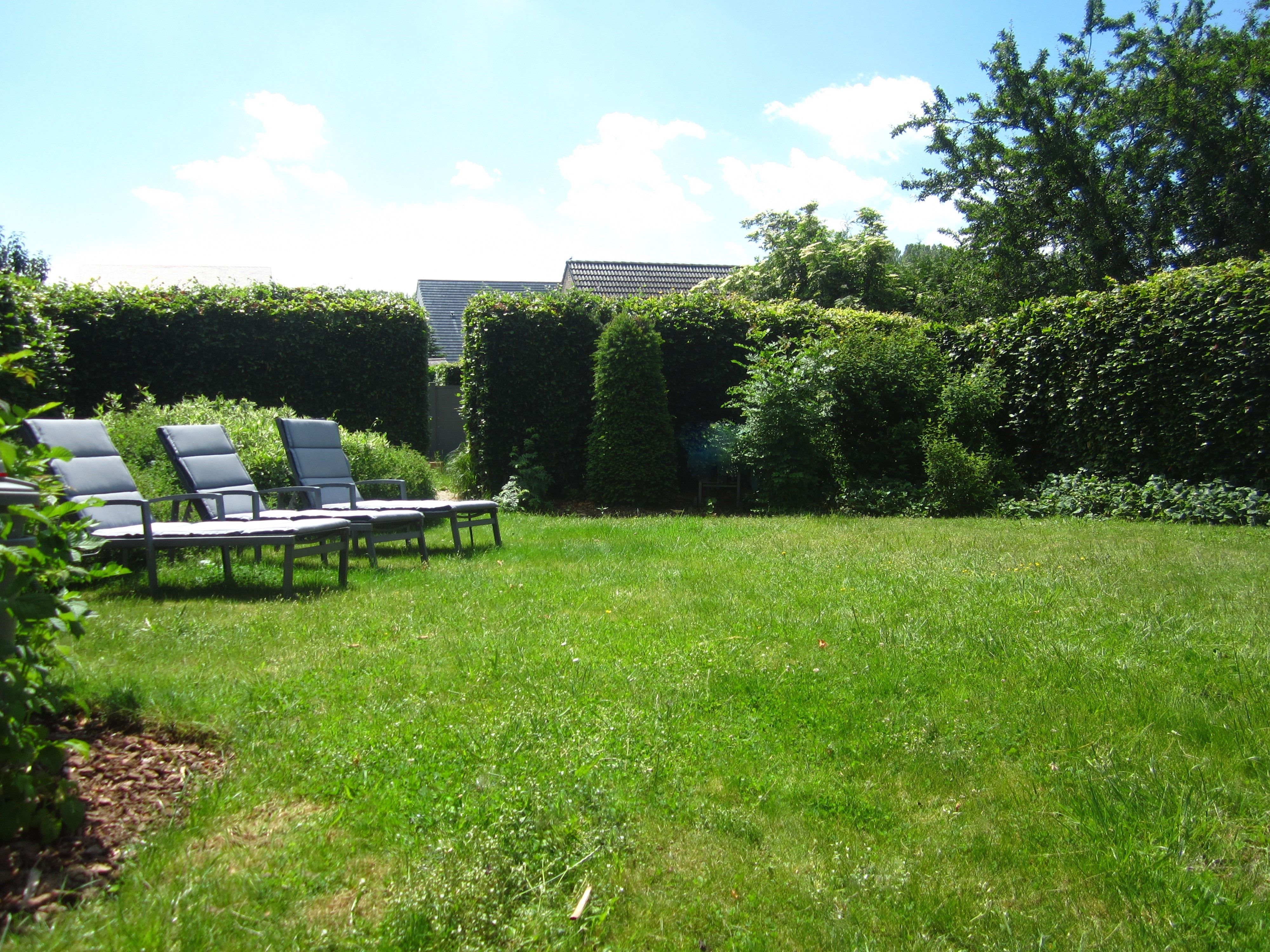 Charmante open bebouwing op 559m² met mooie aangelegde tuin.  foto 6