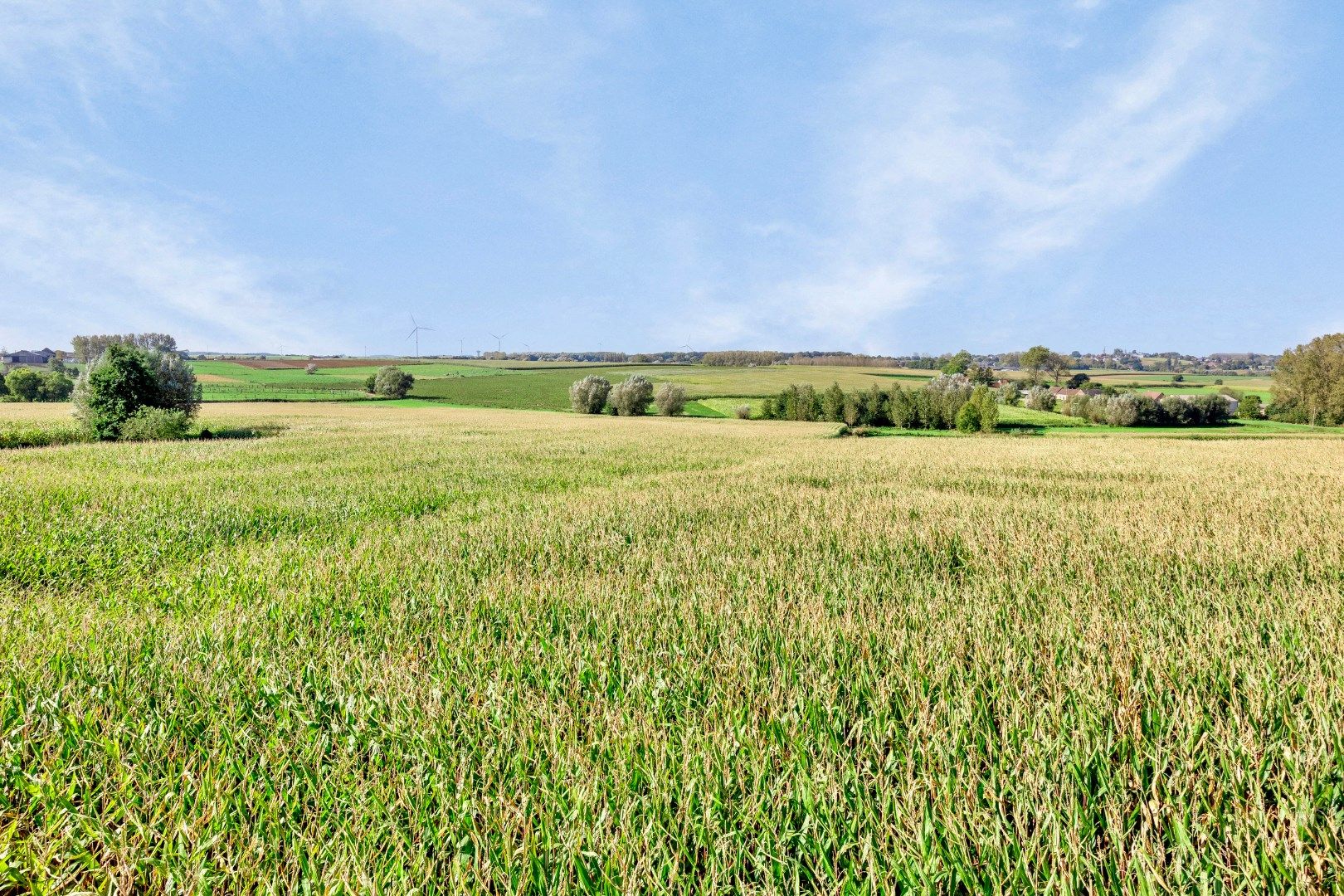 Bouwgrond (HOB) op 4a 97ca met uniek vergezicht op agrarisch landschap foto 9