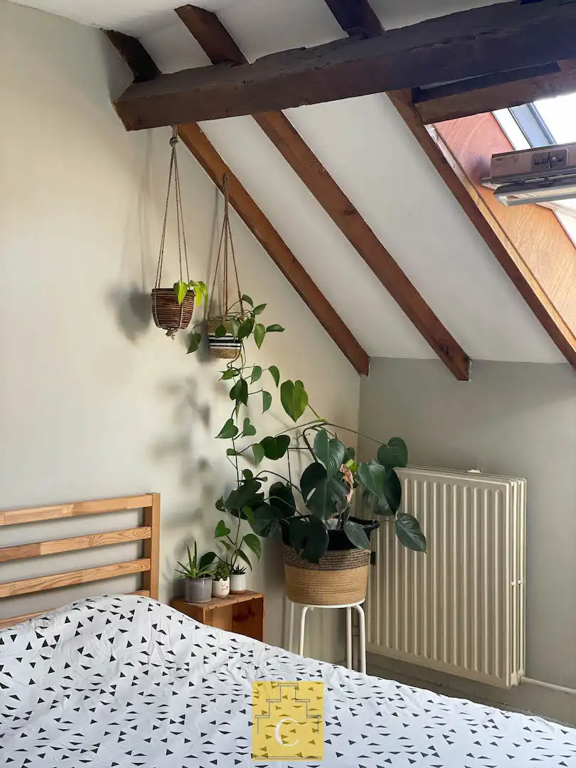 dakappartement 125 m2 in herenhuis aan de Potterierei foto 19