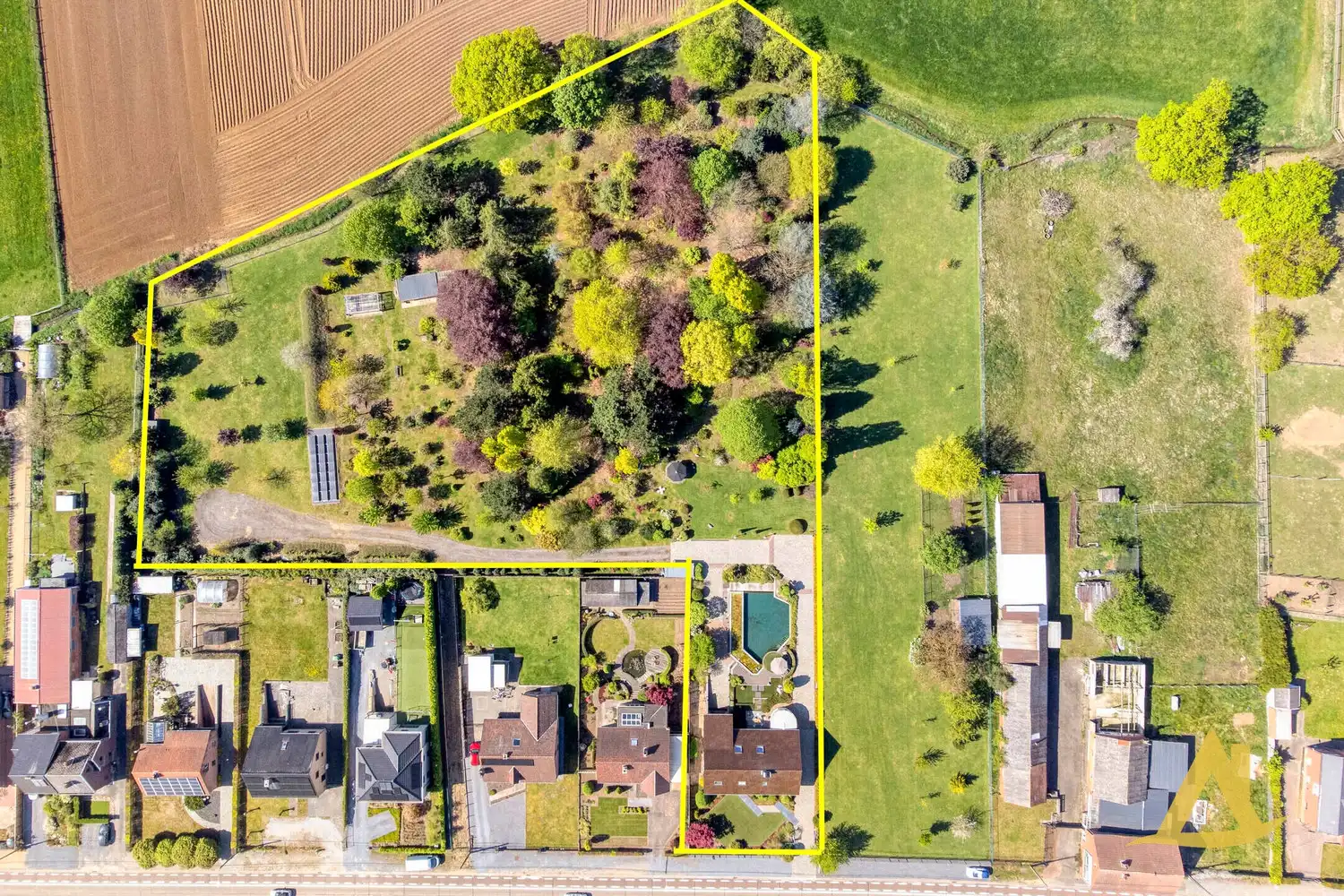 EXCLUSIEVE VILLA MET PARKTUIN EN ZWEMVIJVER OP EEN PERCEEL VAN 1HA 5A 16CA! foto 3