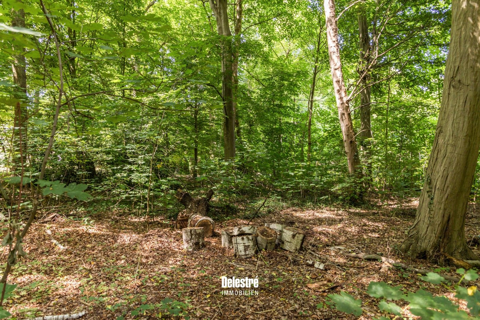 TIJDLOZE VILLA OP 3.317 M2 BOIS DE STRIHOUX foto 30