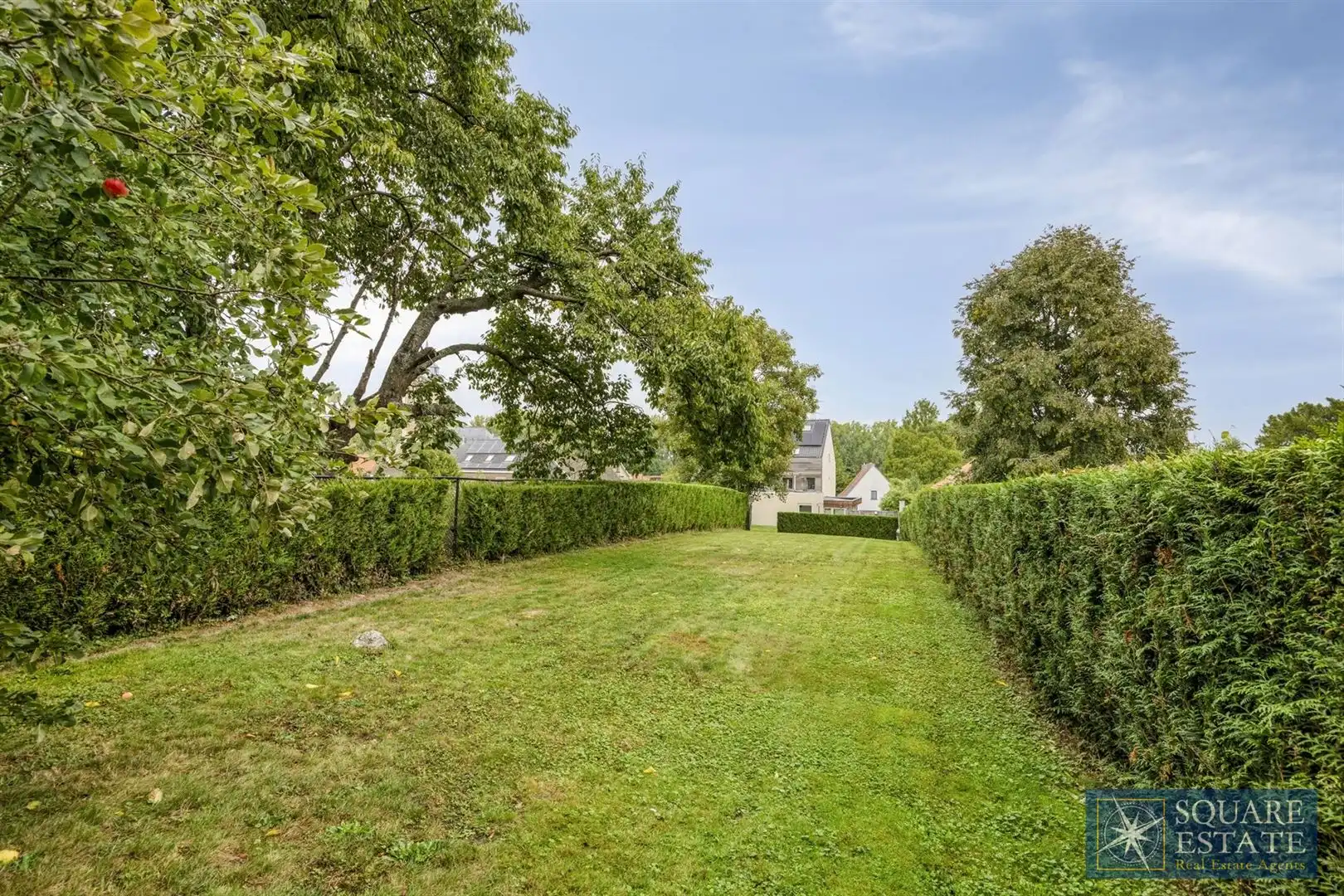 Eengezinswoning met zwembad in Mollem foto 26