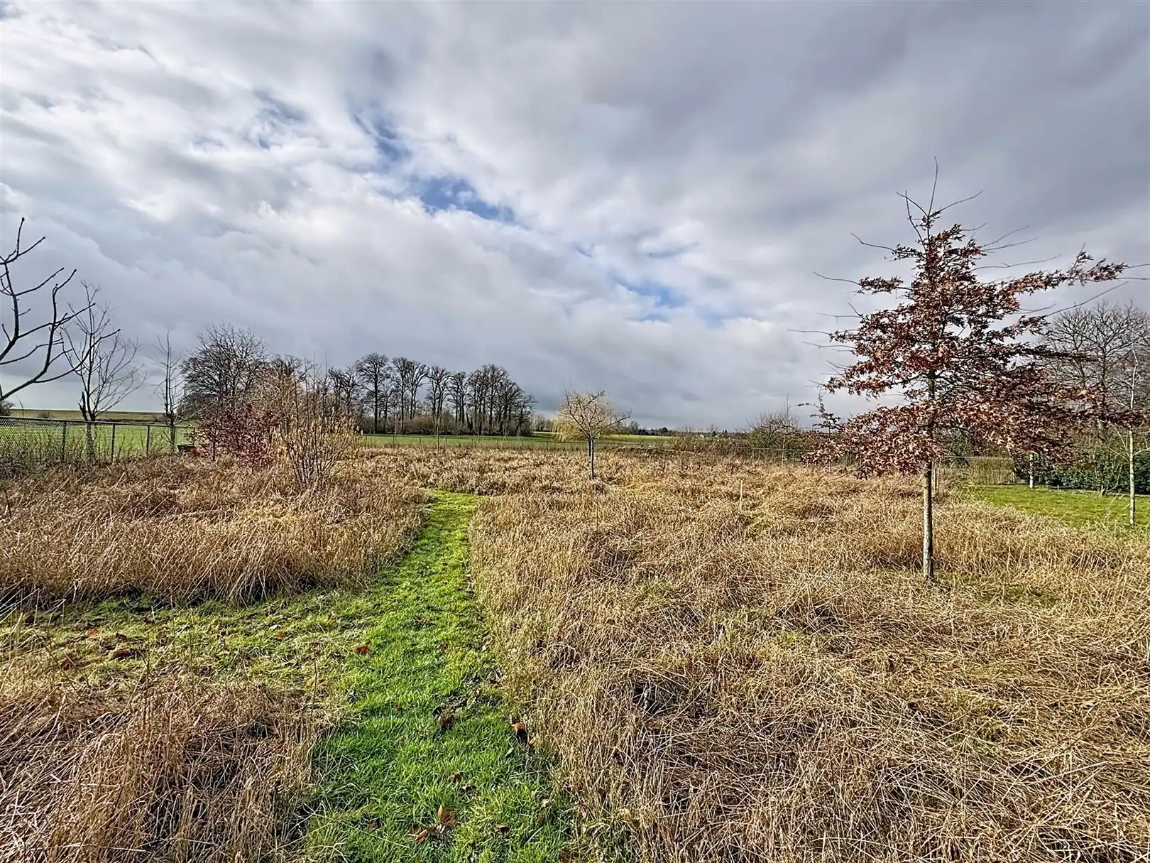 Karaktervolle woning met 4 slpks, 2 bdks, zwembad, 39a 17ca foto 50