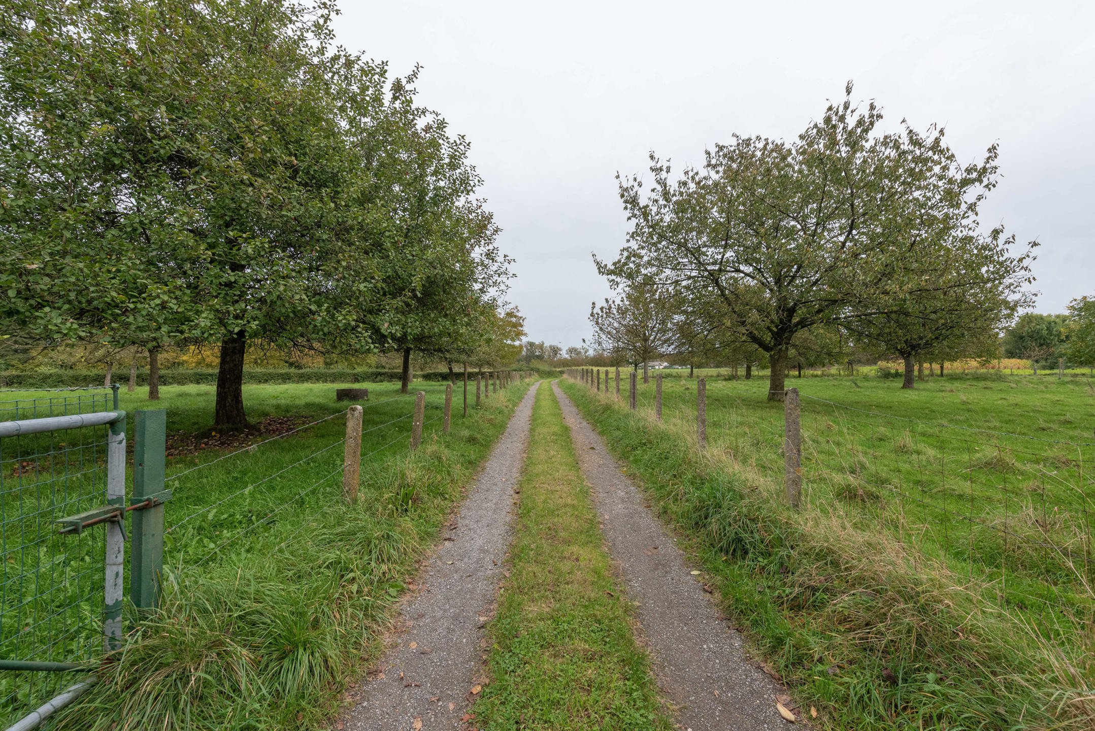 OB op een royaal perceel van 22a36ca te Membruggen foto 28