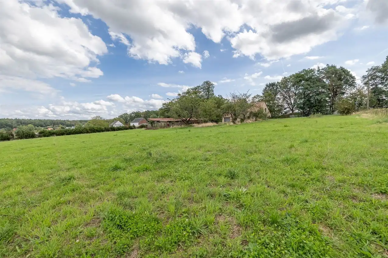Te renoveren boerderij met 2 weides (45a en 21a) en ruime hangaar foto 35