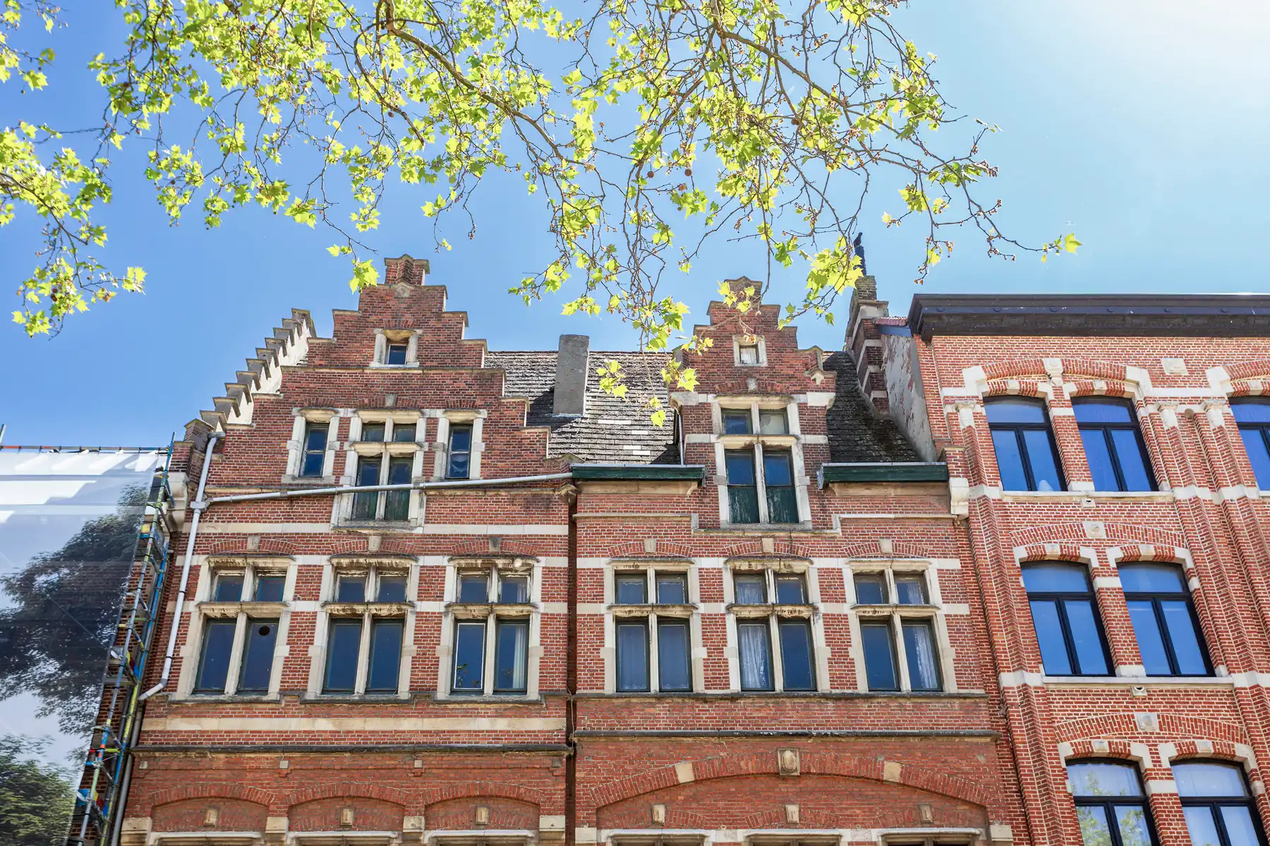 Te renoveren dubbele herenwoning met magazijn op 't Zuid foto 21