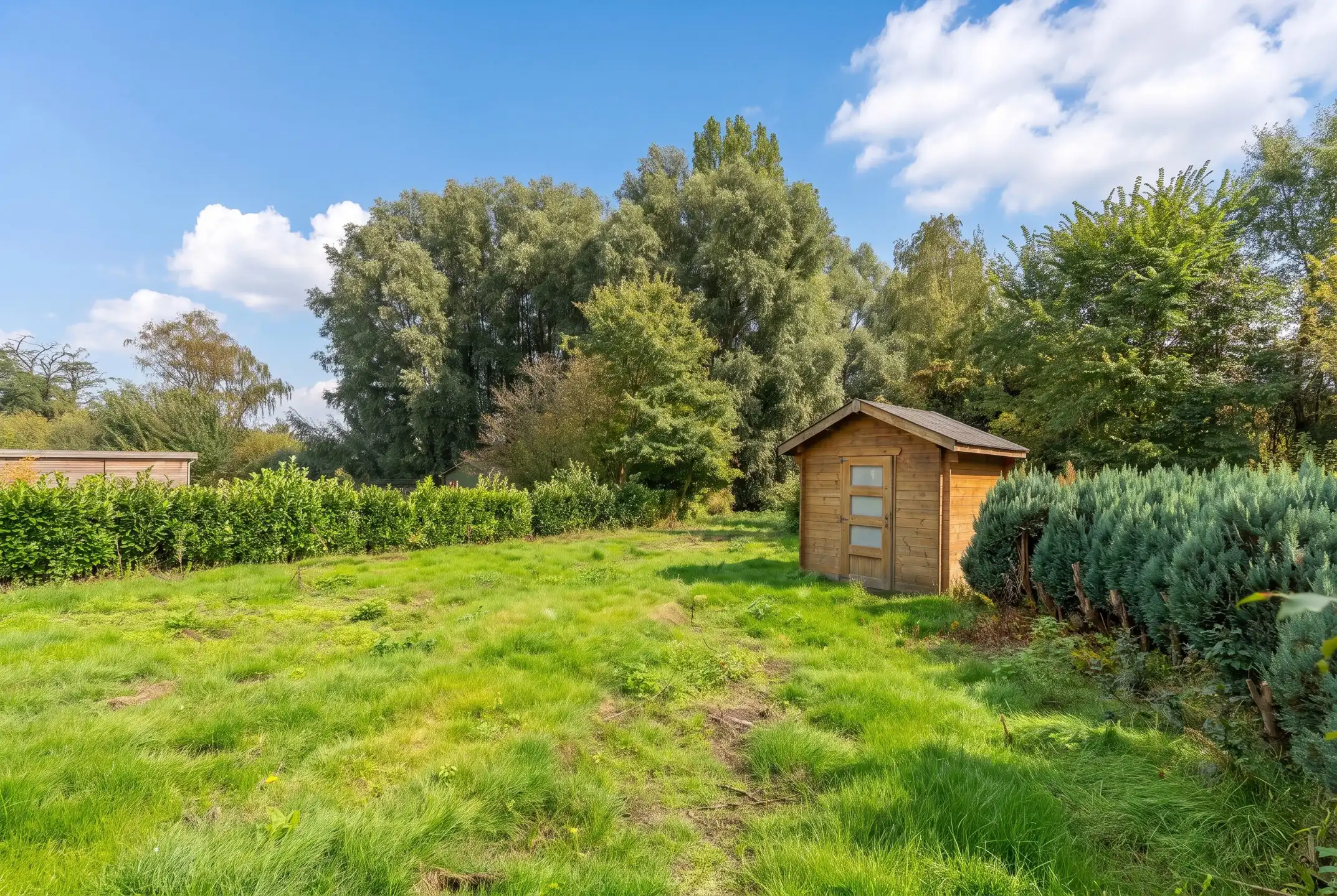 Ruime laagbouw met 3-4 slpk én praktijk en grote garage foto 35