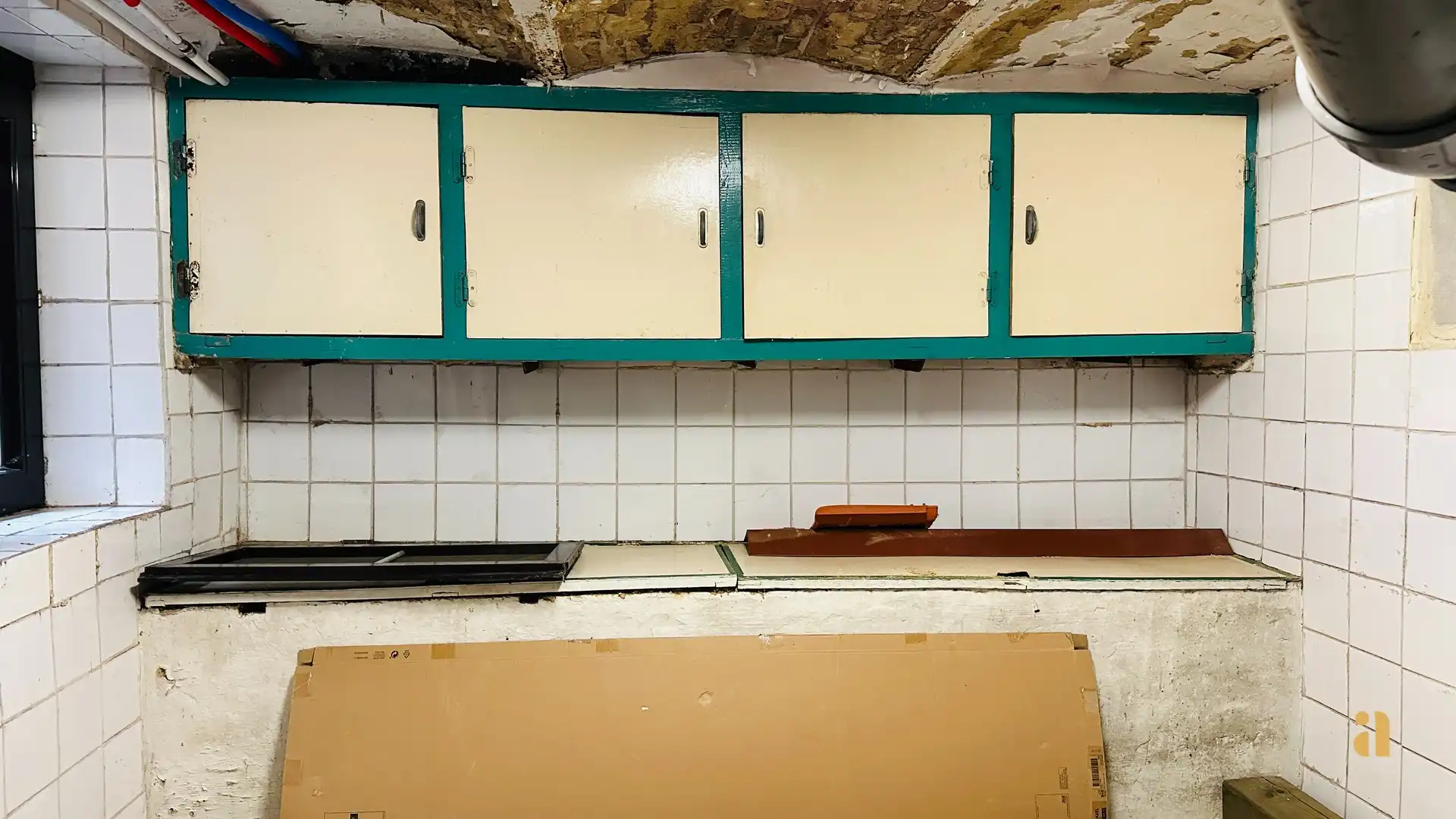 Tuinplezier Alert: onmiddellijk beschikbaar! foto 24