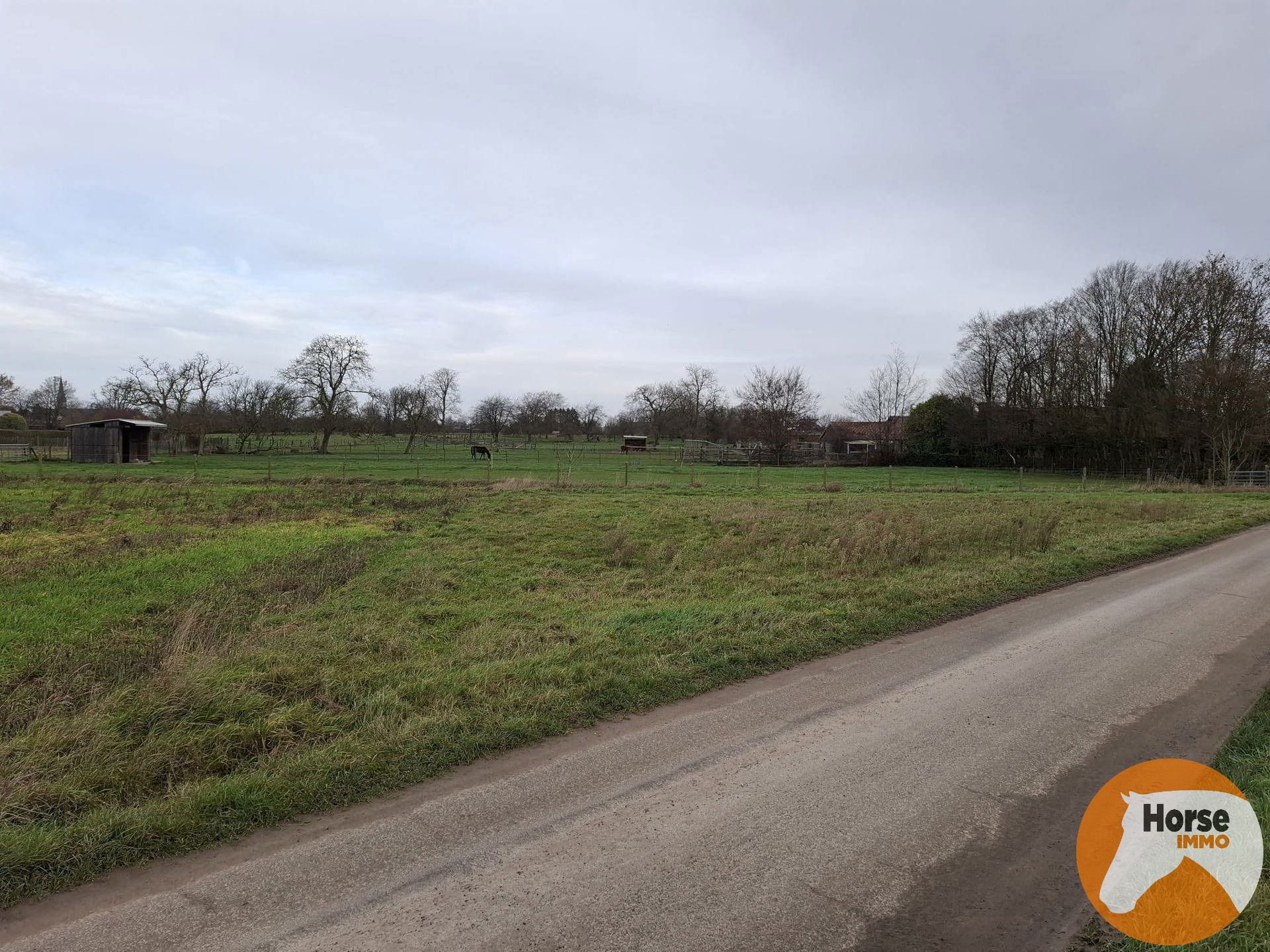 HAALTERT– Perceel weiland van 35a 76ca foto 5