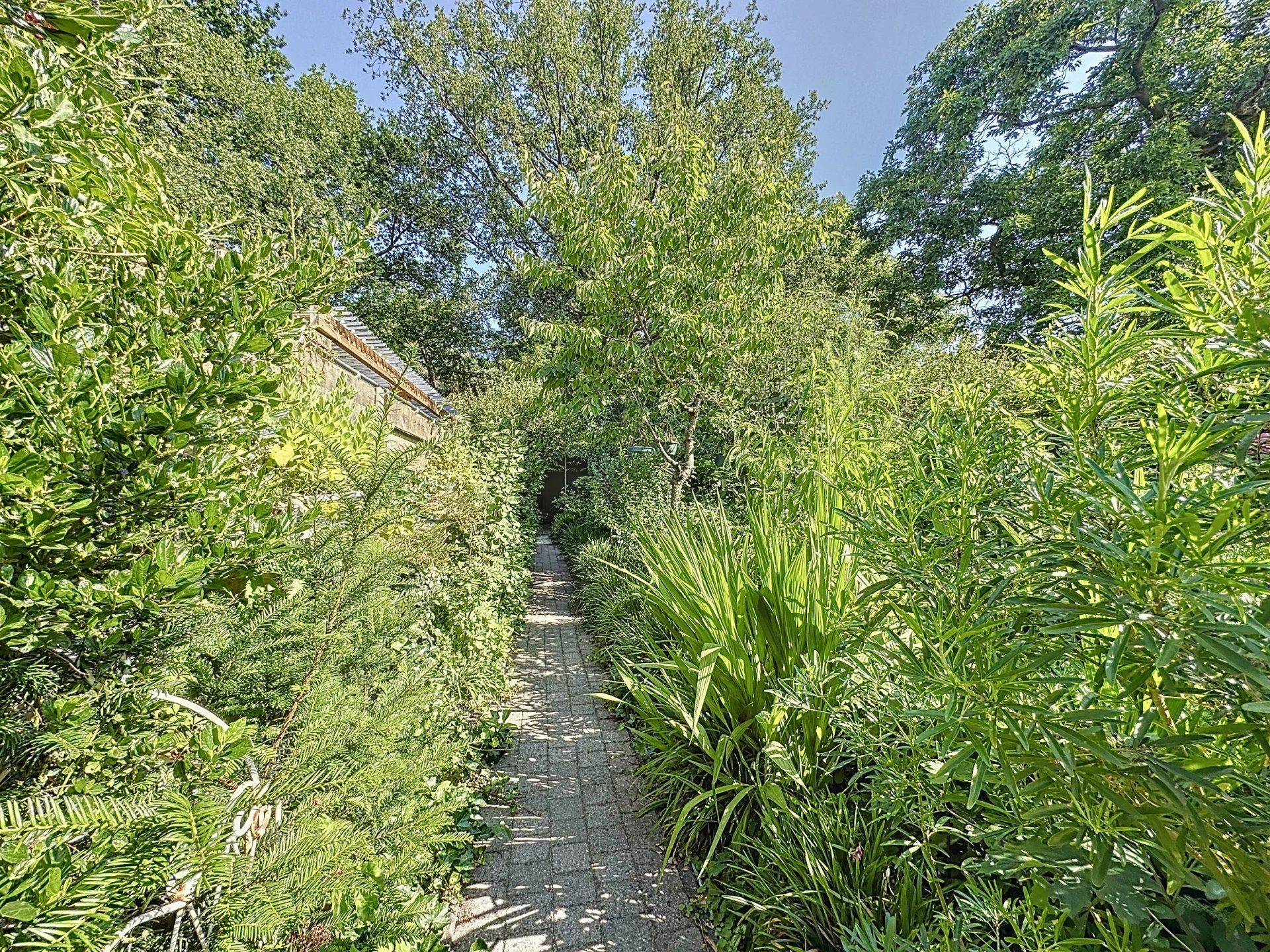 Super gezellige woning met groot terras, mooie bloementuin en carport. foto 14