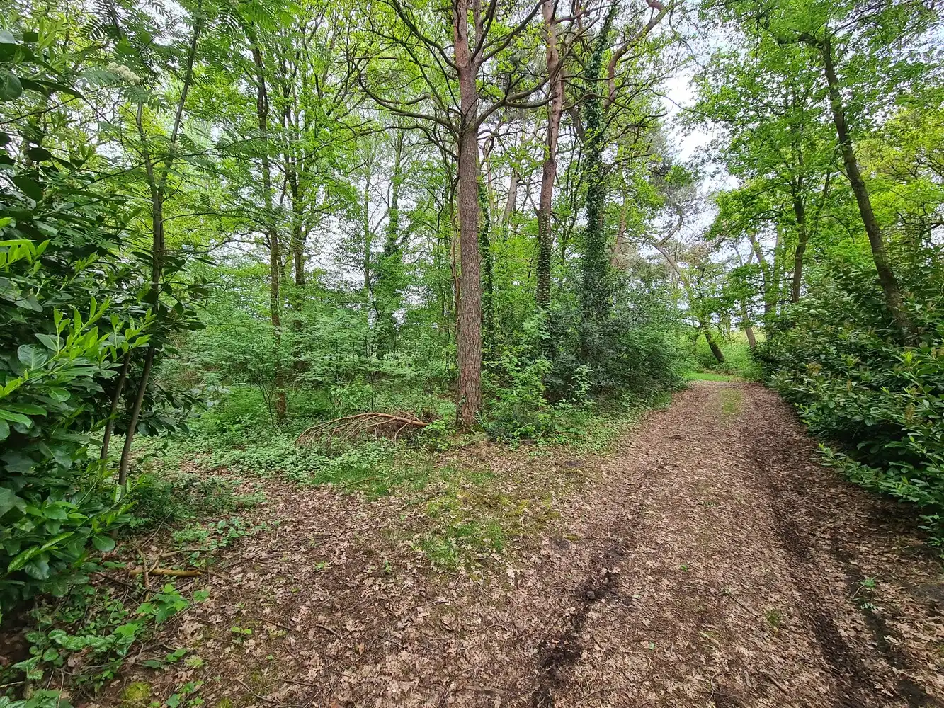 Grond te koop Mozenplek z/n - 3940 Hechtel-Eksel