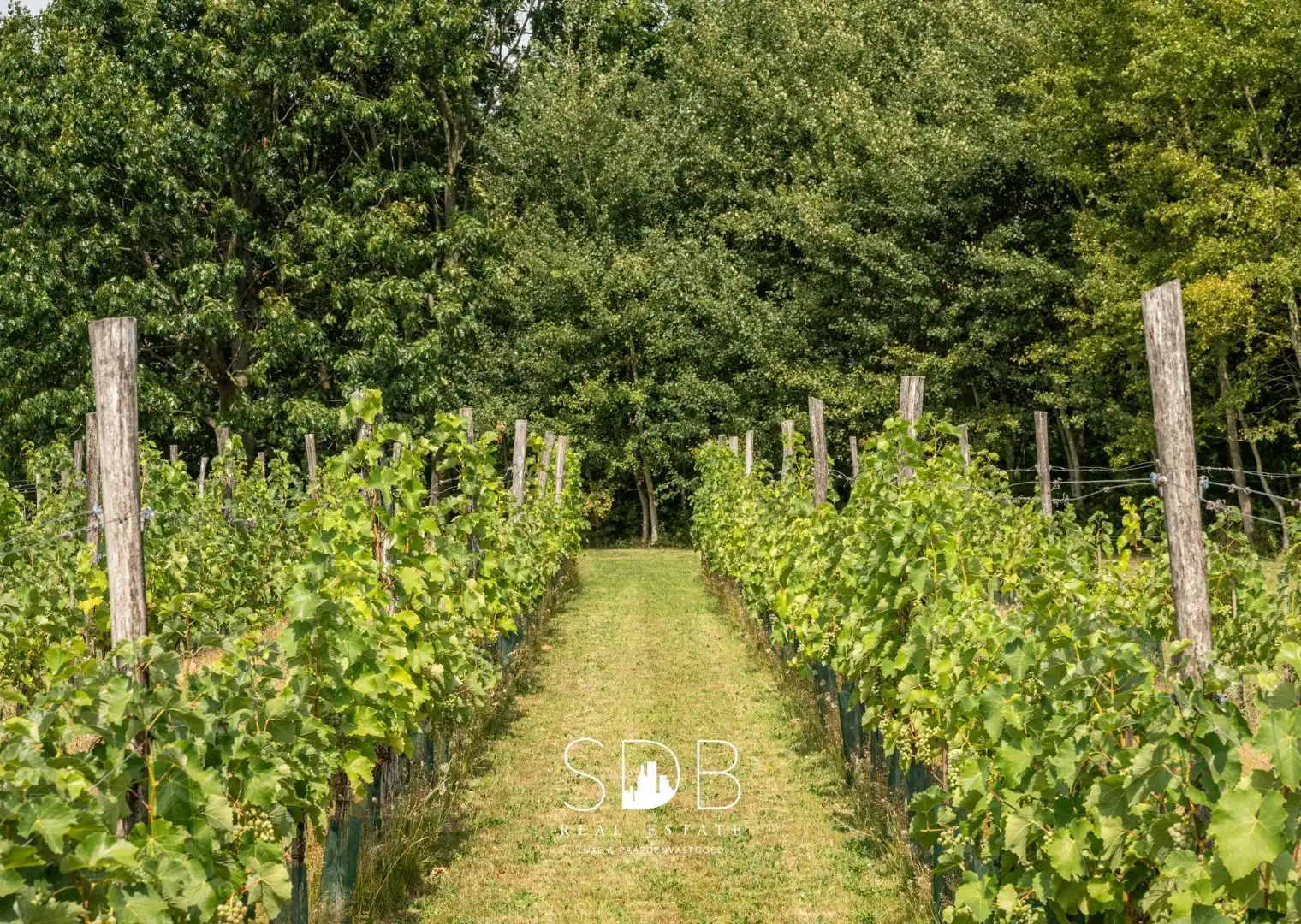Wonen in Harmonie met de Natuur: Uw Exclusieve Landhuis op 1,5 Ha te Wachtebeke foto 28