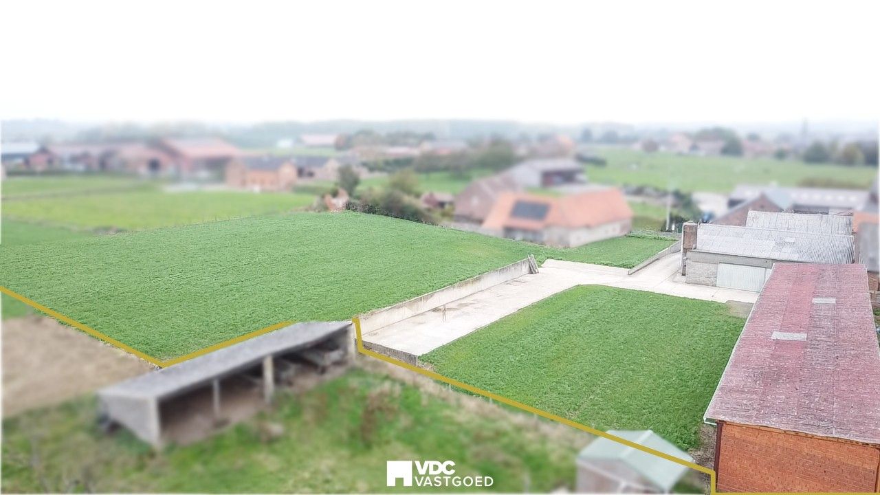 Voormalige boerderij met loods en veestal op perceel van 6.920 m² – volledig te renoveren foto 3
