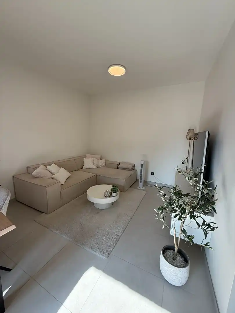Prachtig instapklaar en energiezuinig appartement met 2 slaapkamers en terras te Pelt. foto 13