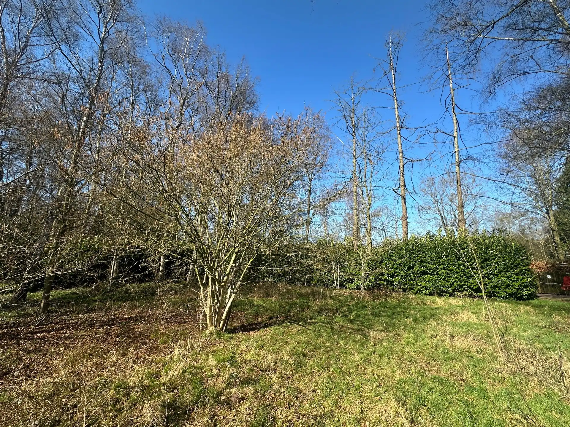 Recreatiegrond van 1.163 m² op rustige ligging te Stekene foto 6