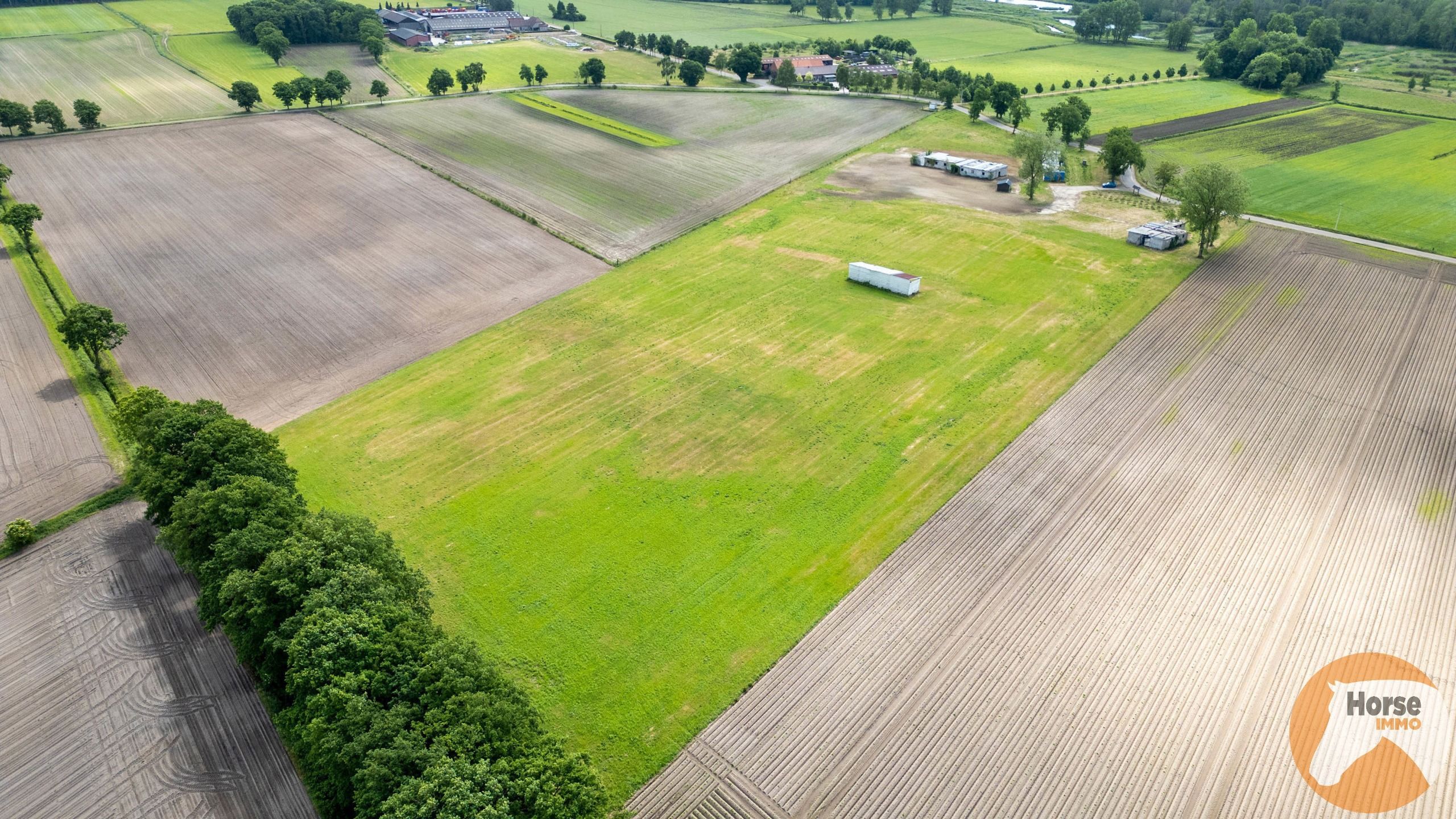BOCHOLT - Weide met stalgebouwen op +/- 4ha35a foto 6